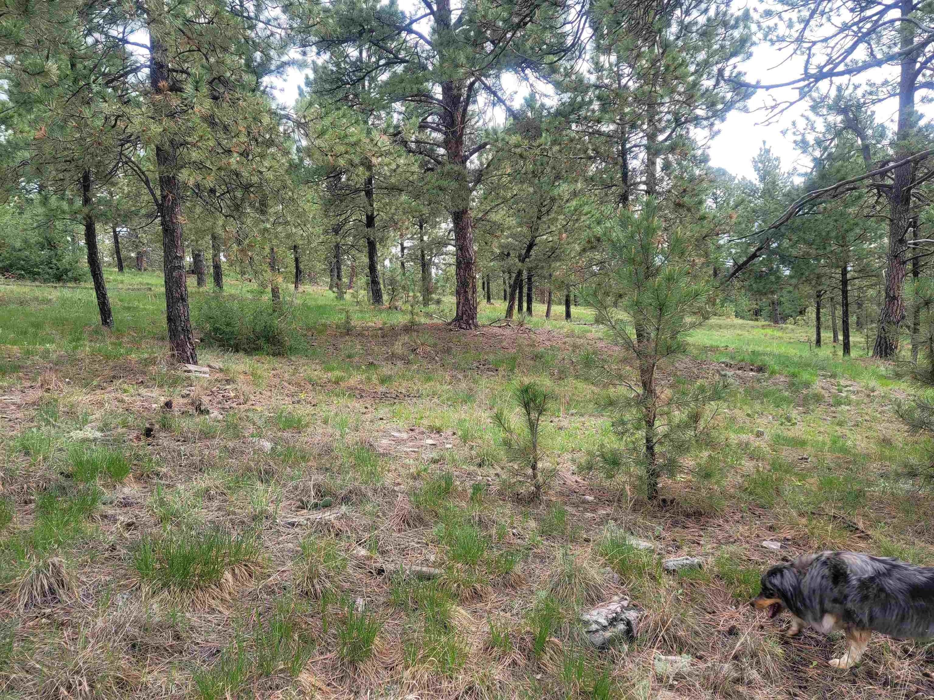 24653 Outback Trail Property Photo 44