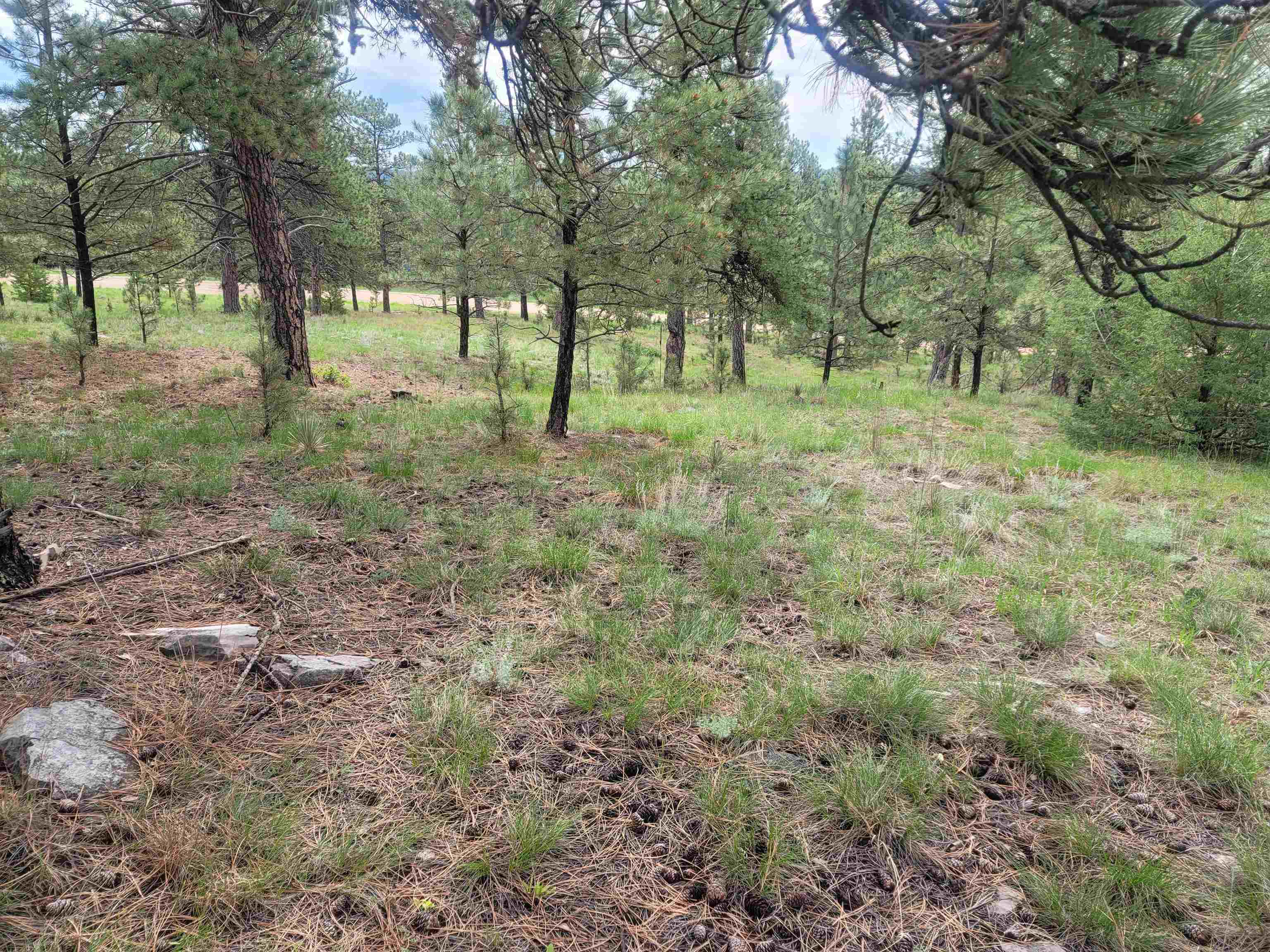 24653 Outback Trail Property Photo 45