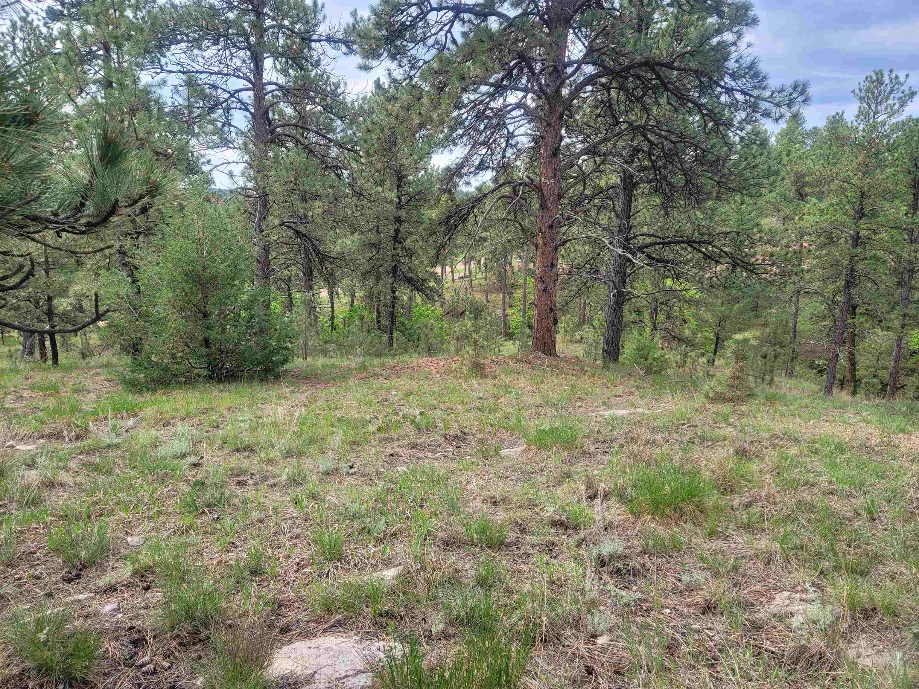 24653 Outback Trail Property Photo 46