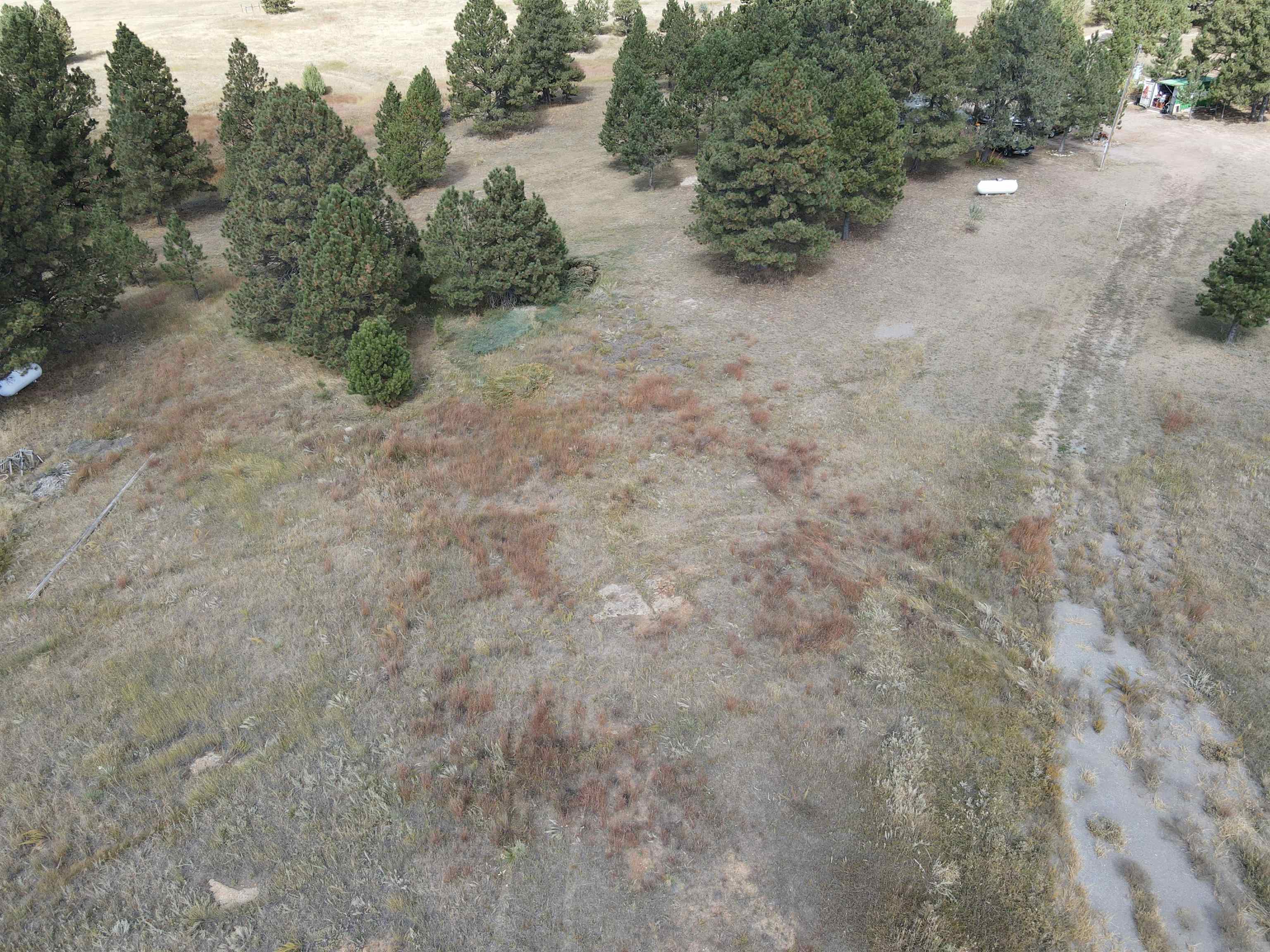 Bridle Bit Court Property Photo 4