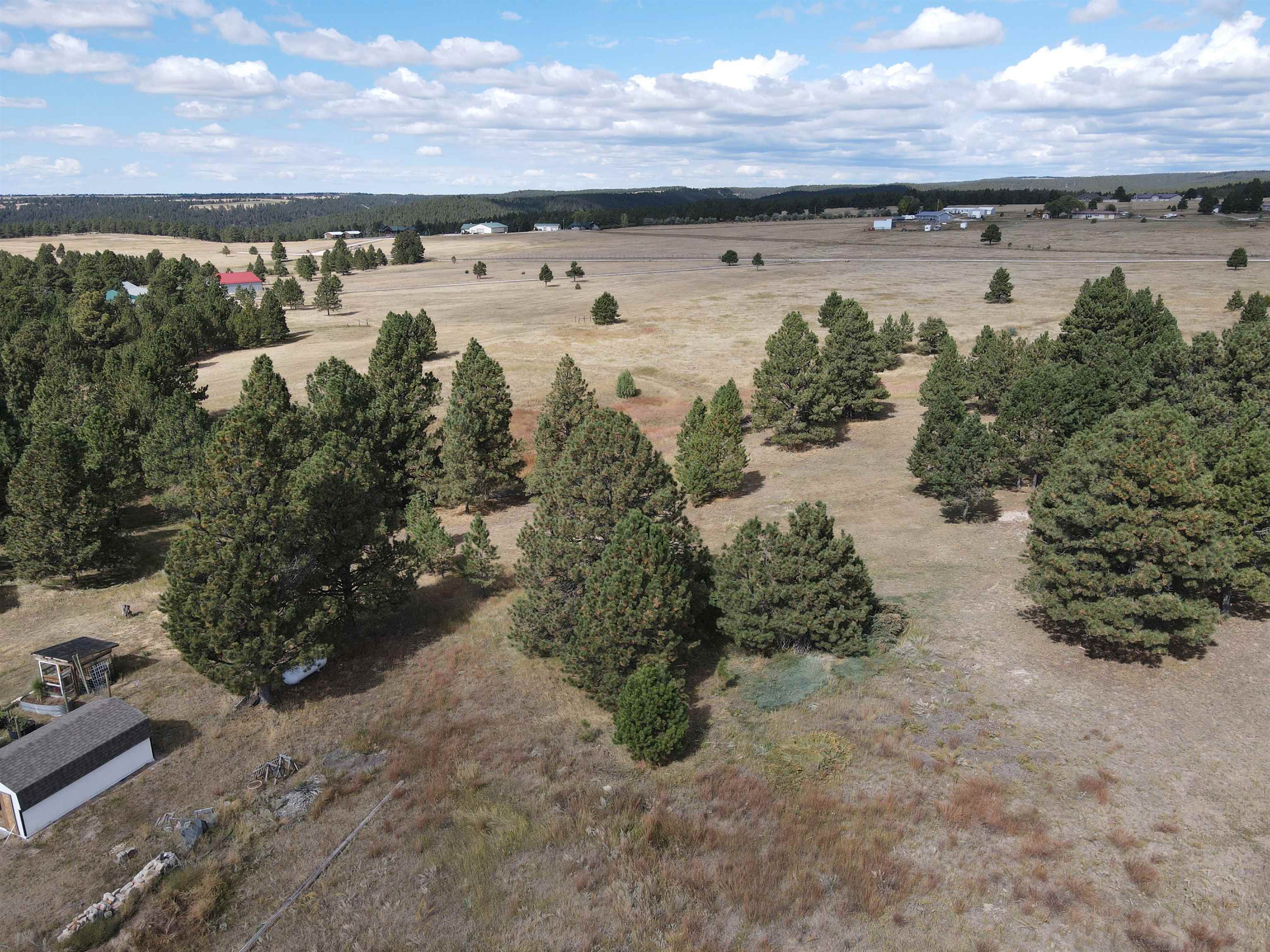 Bridle Bit Court Property Photo 5