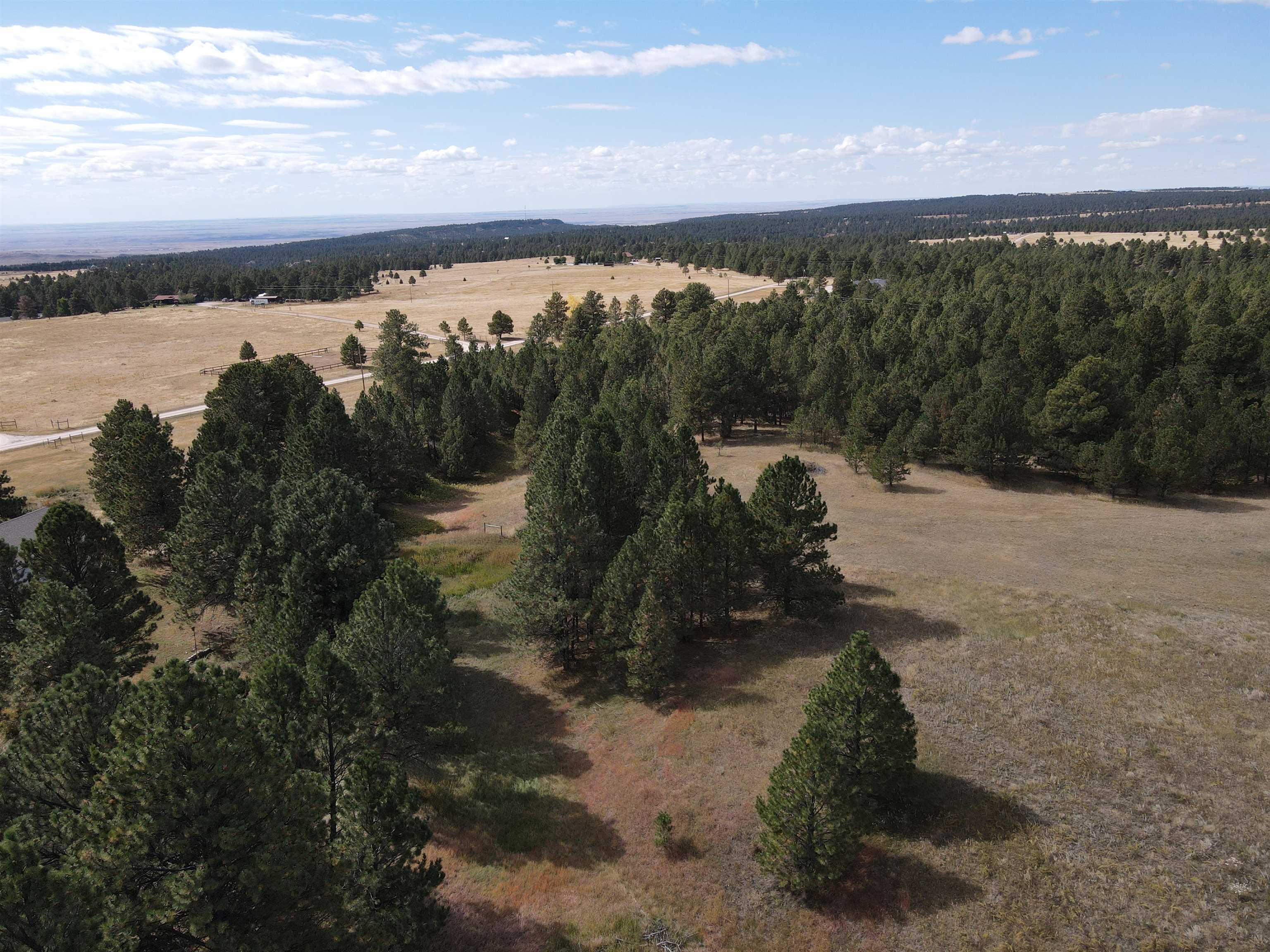 Bridle Bit Court Property Photo 6
