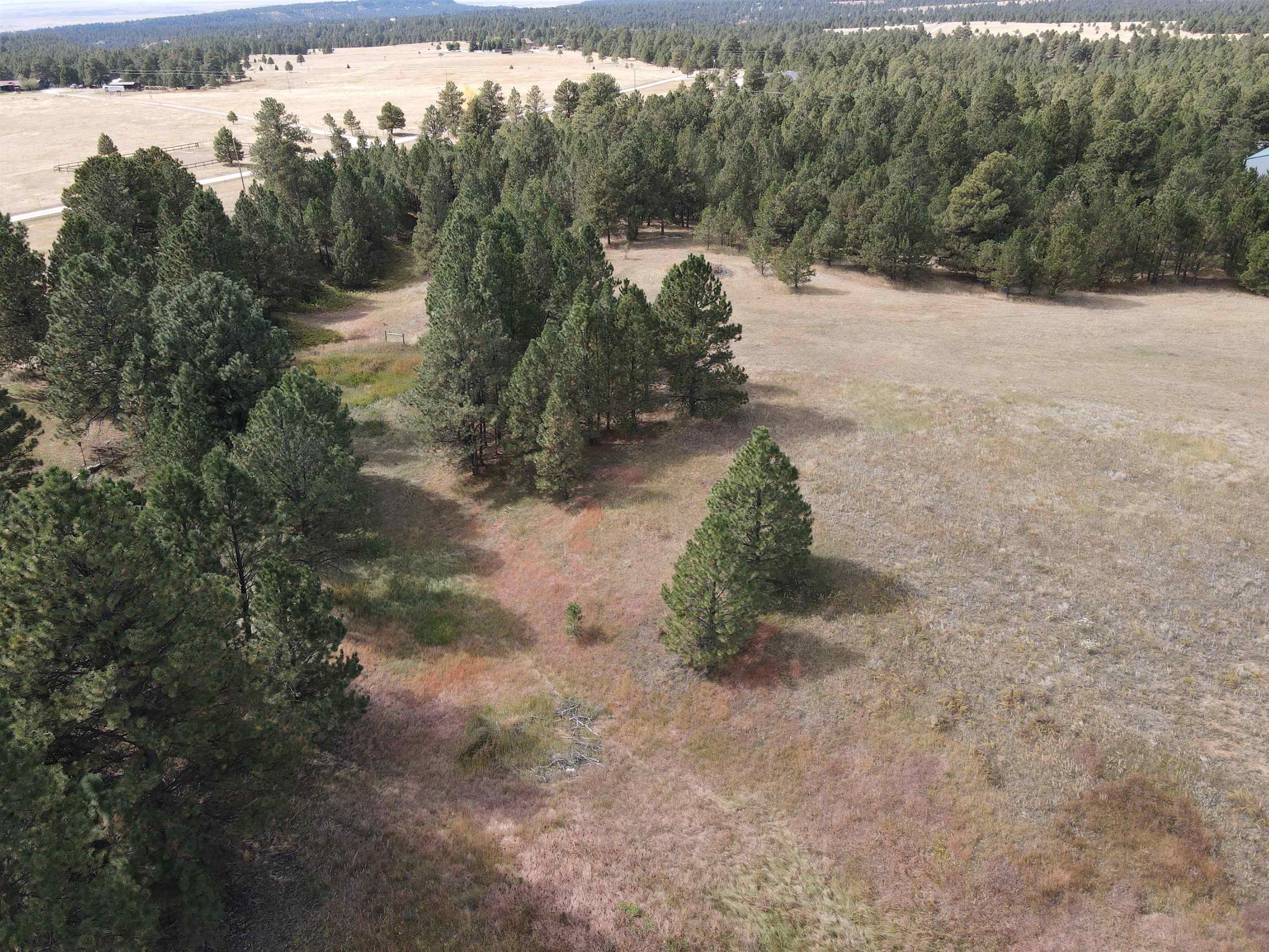 Bridle Bit Court Property Photo 7