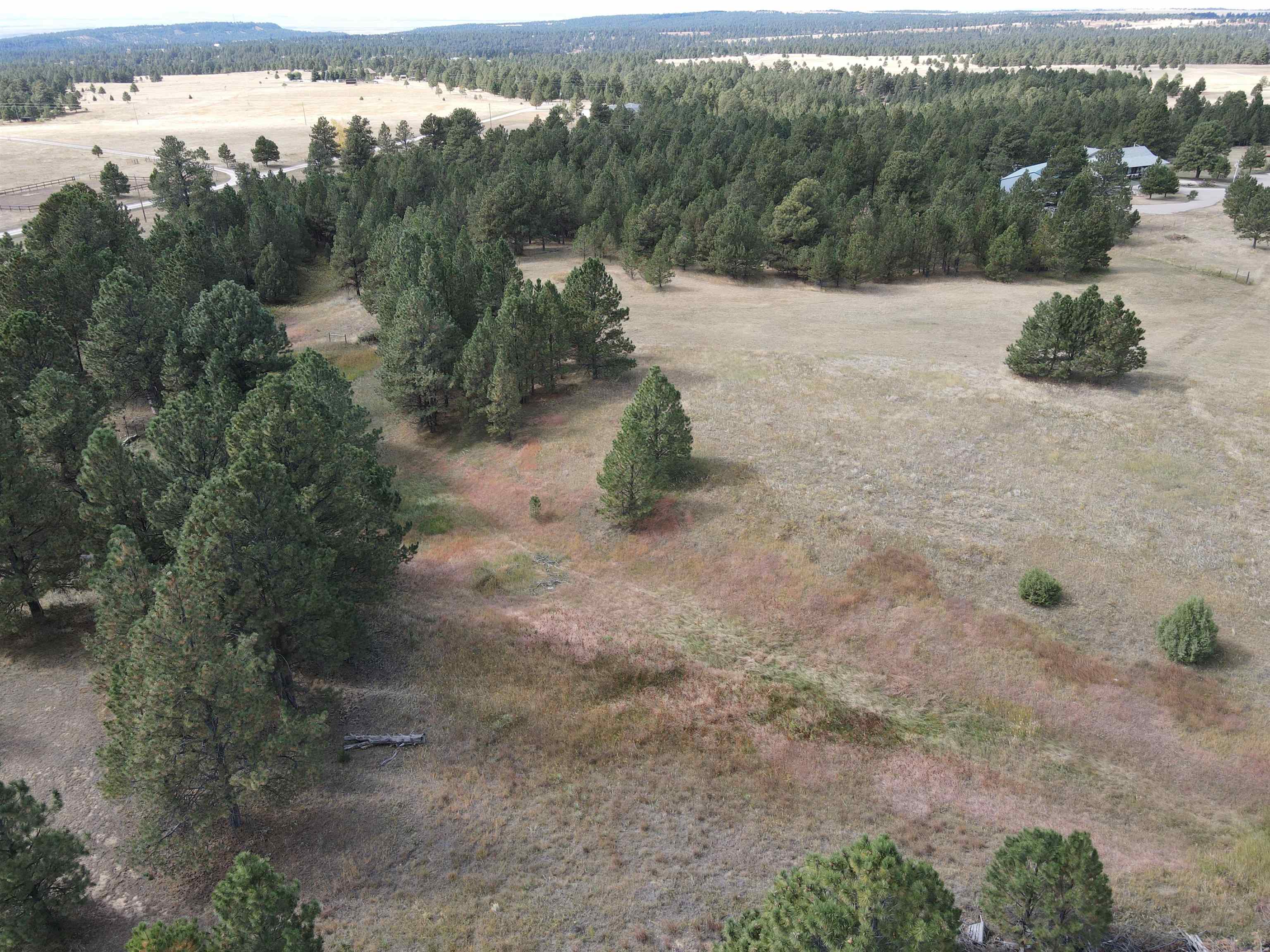 Bridle Bit Court Property Photo 9