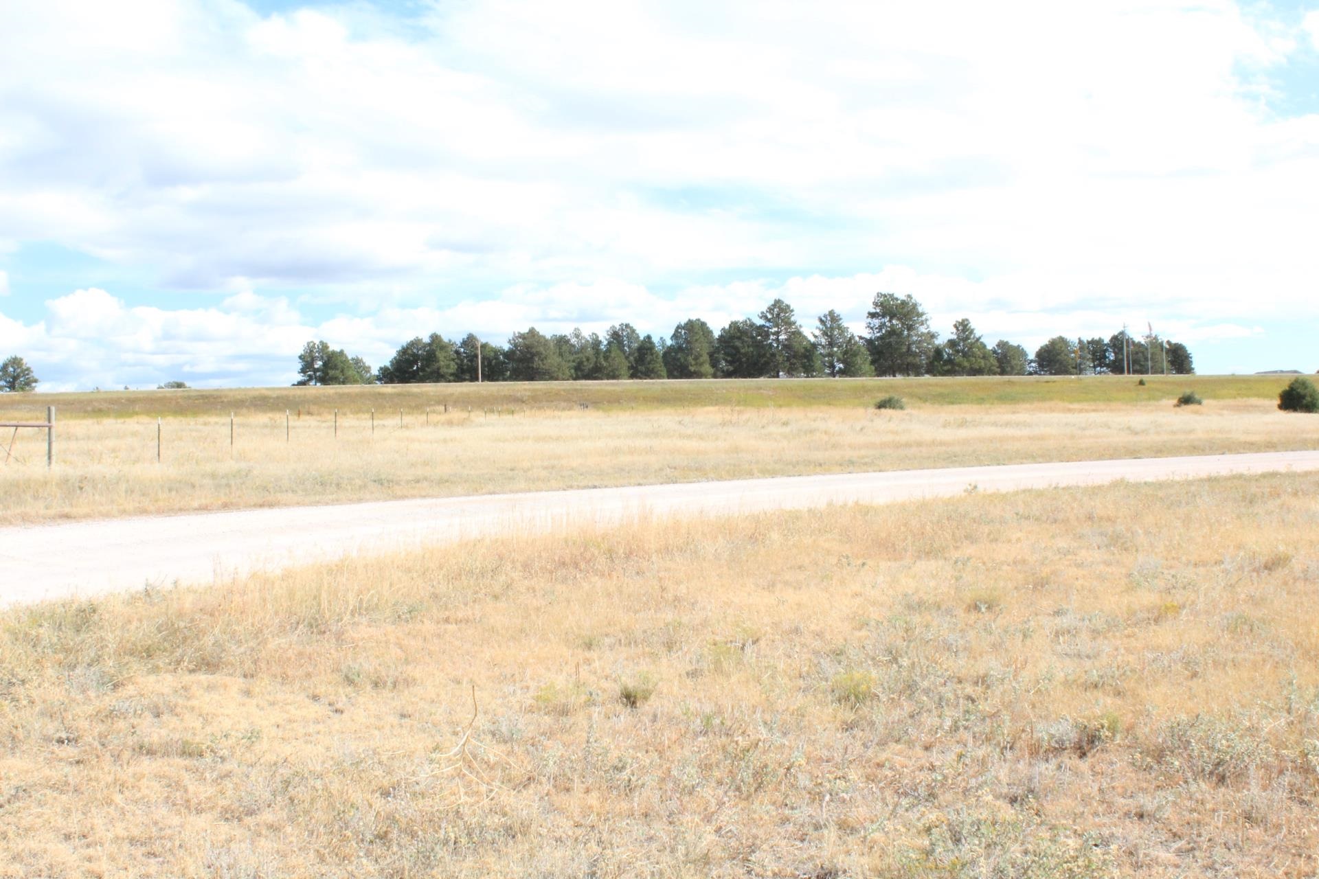 Bridle Bit Court Property Photo 13