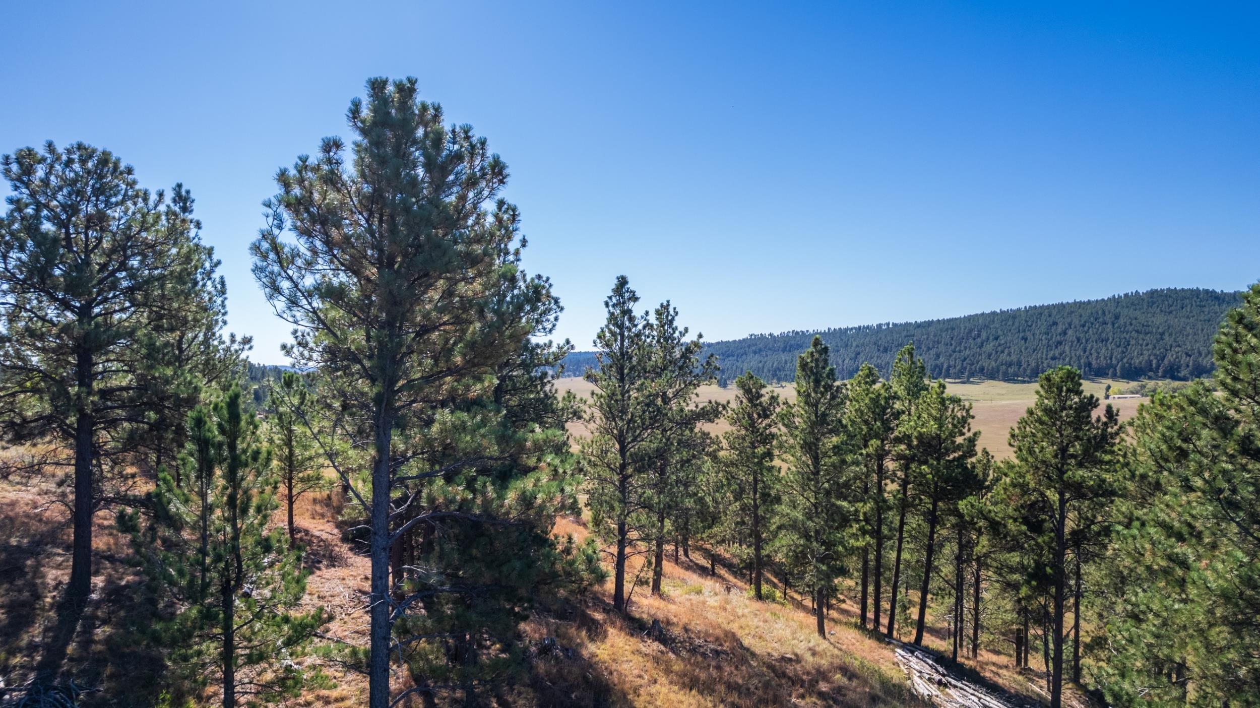 13604 Ghost Canyon Road Property Photo 8