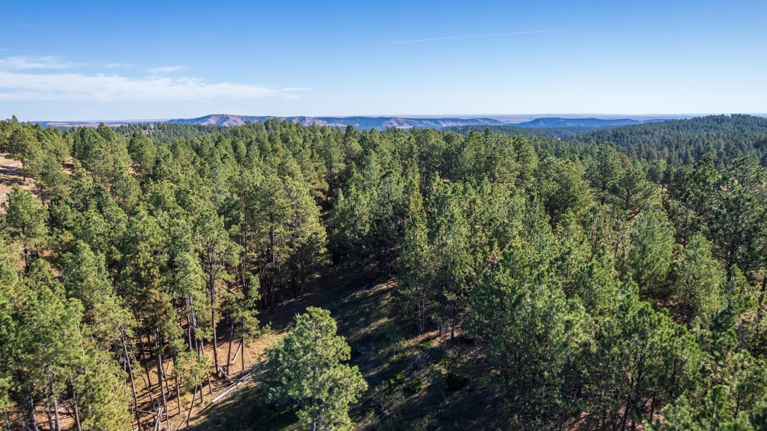 13604 Ghost Canyon Road Property Photo 11
