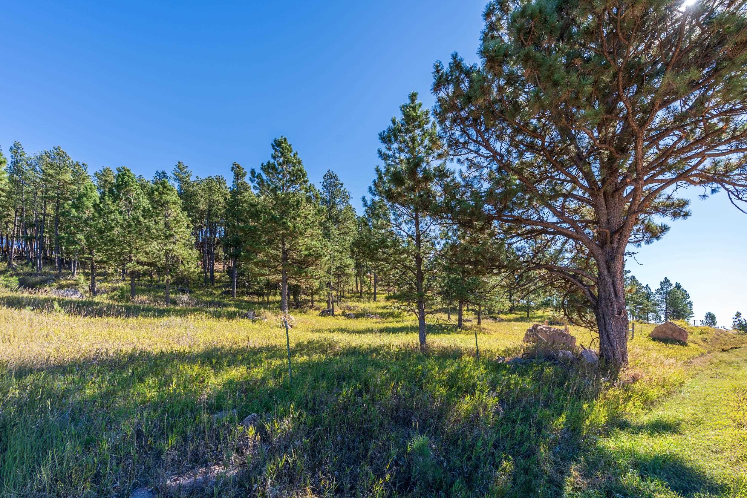 13604 Ghost Canyon Road Property Photo 17