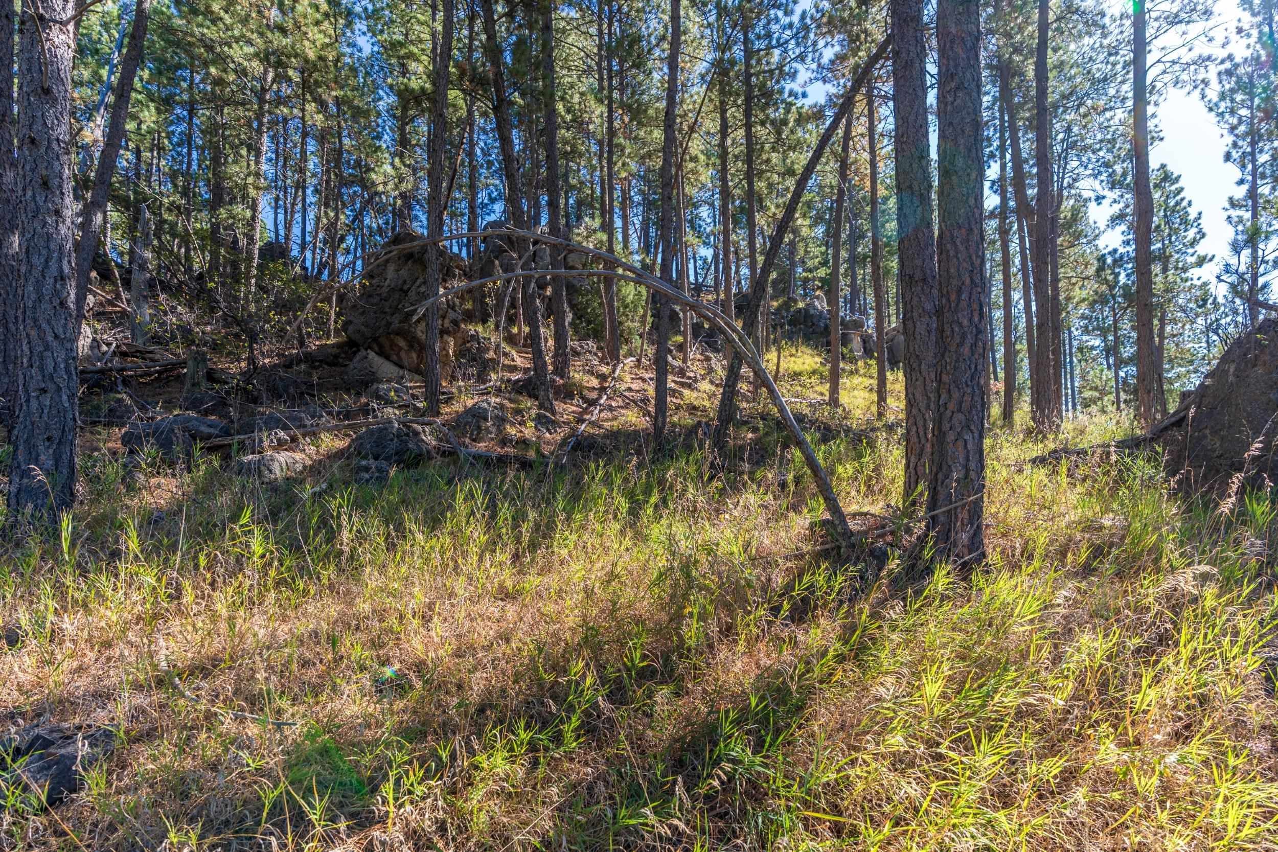 13604 Ghost Canyon Road Property Photo 22