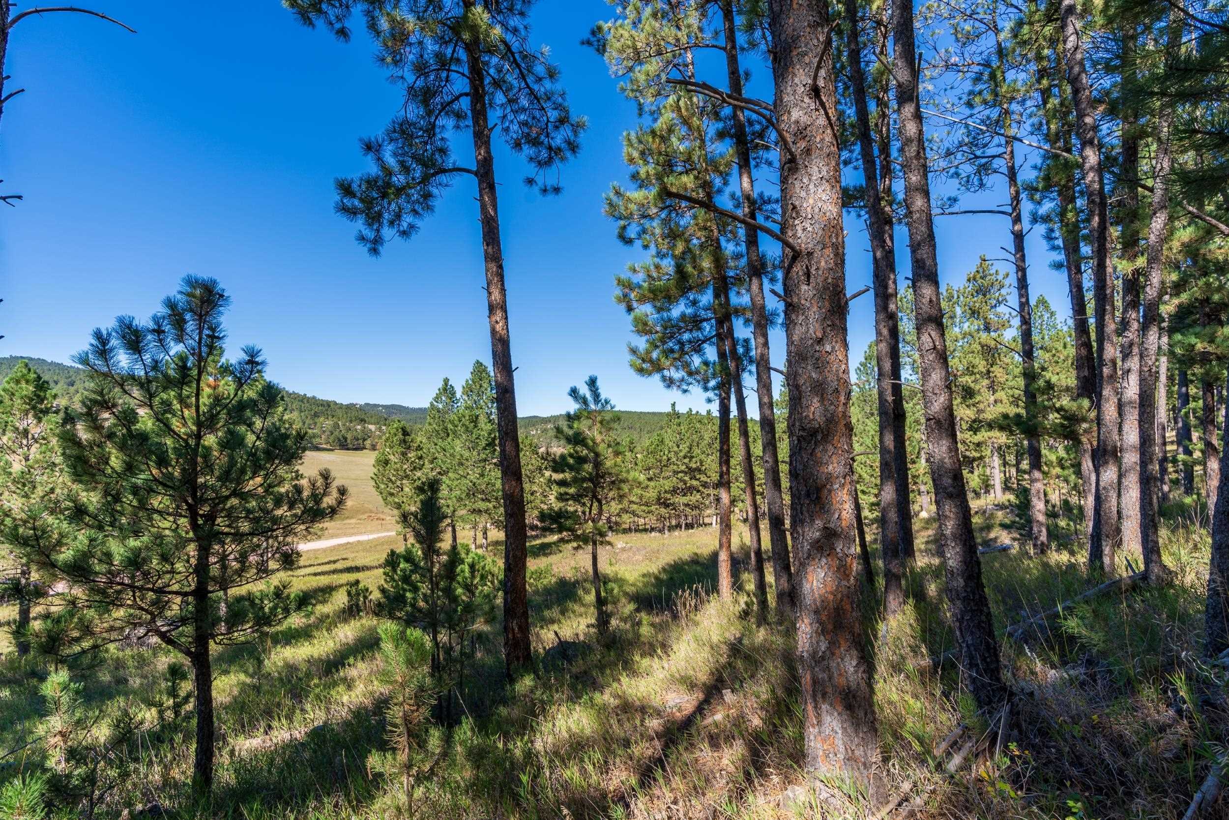 13604 Ghost Canyon Road Property Photo 23
