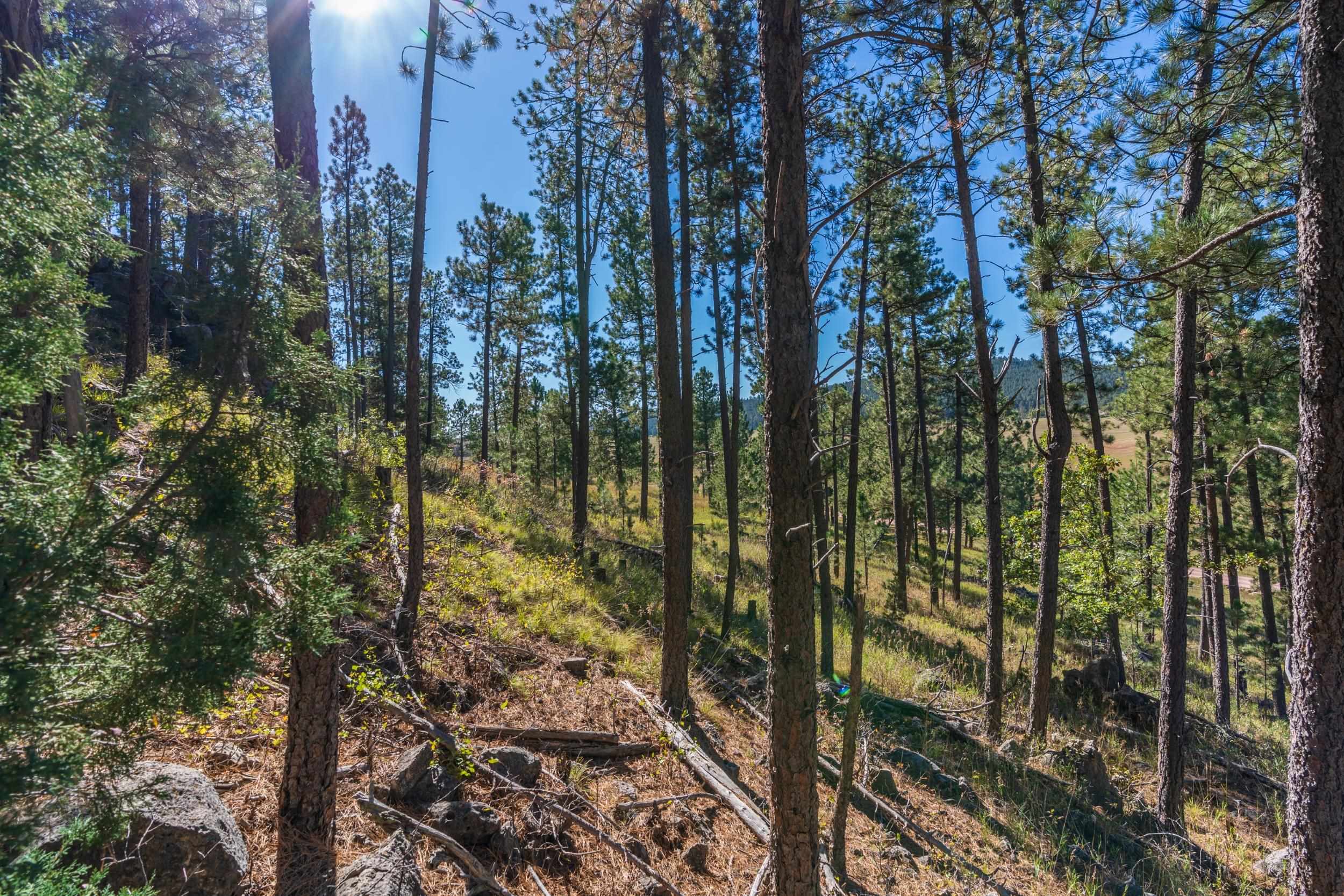 13604 Ghost Canyon Road Property Photo 25