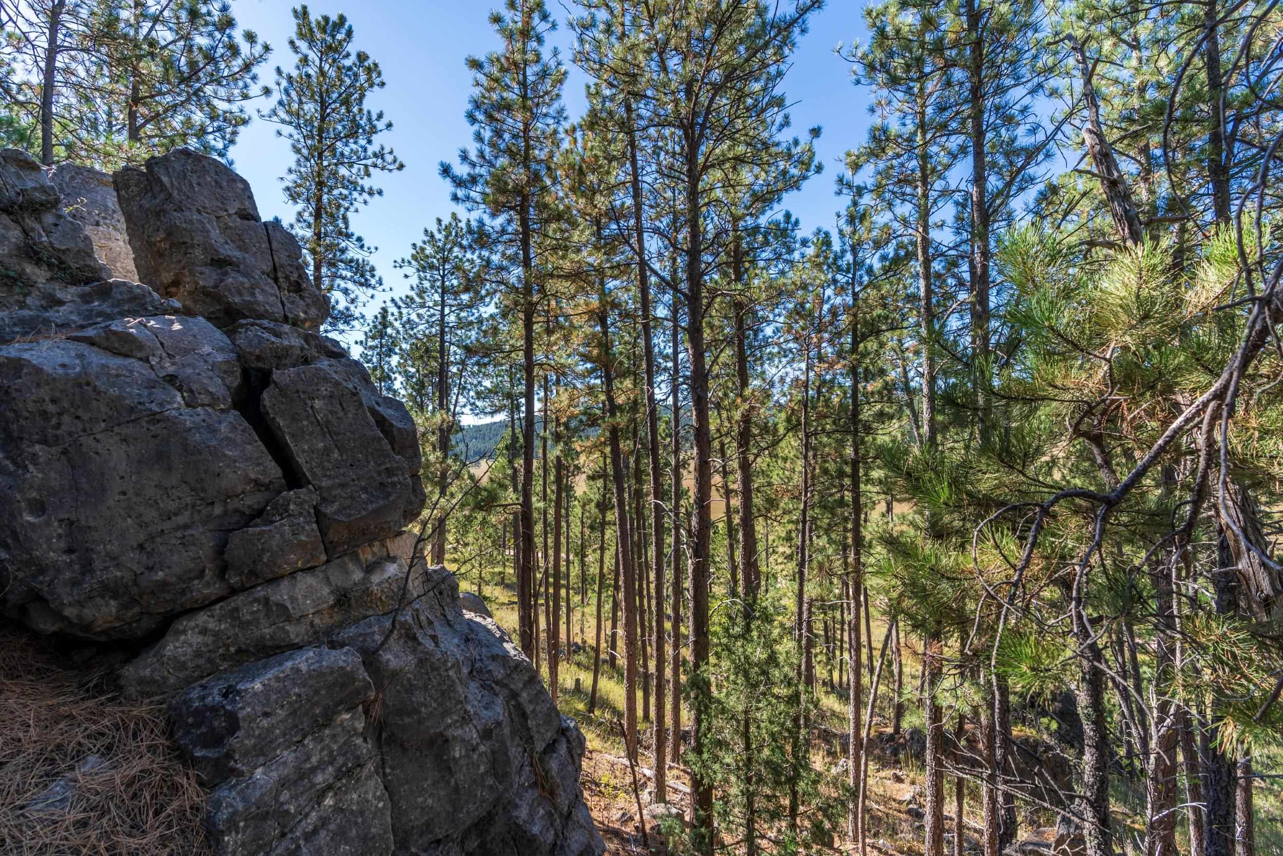 13604 Ghost Canyon Road Property Photo 28