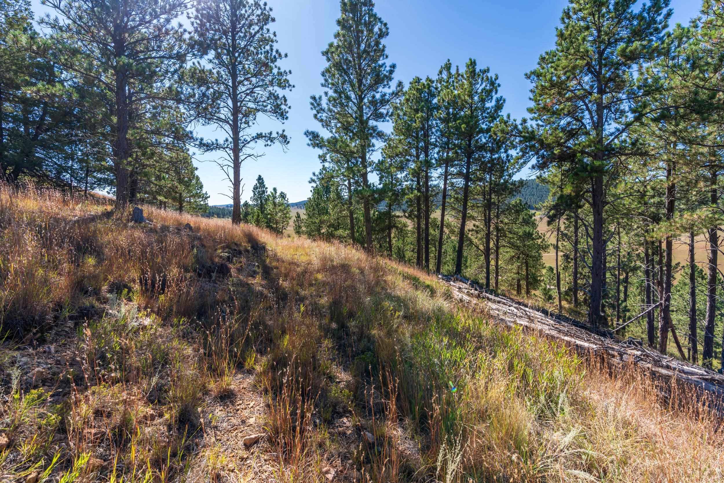 13604 Ghost Canyon Road Property Photo 31