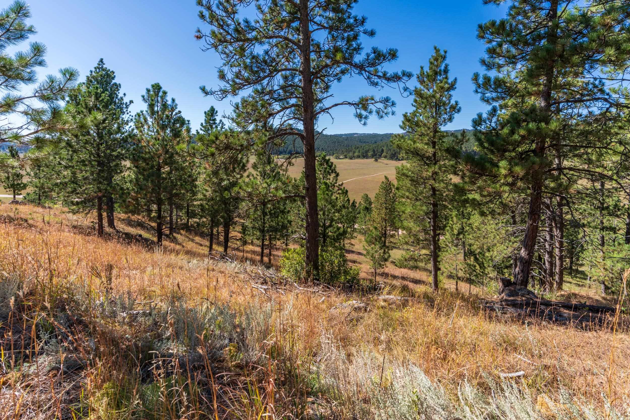 13604 Ghost Canyon Road Property Photo 32