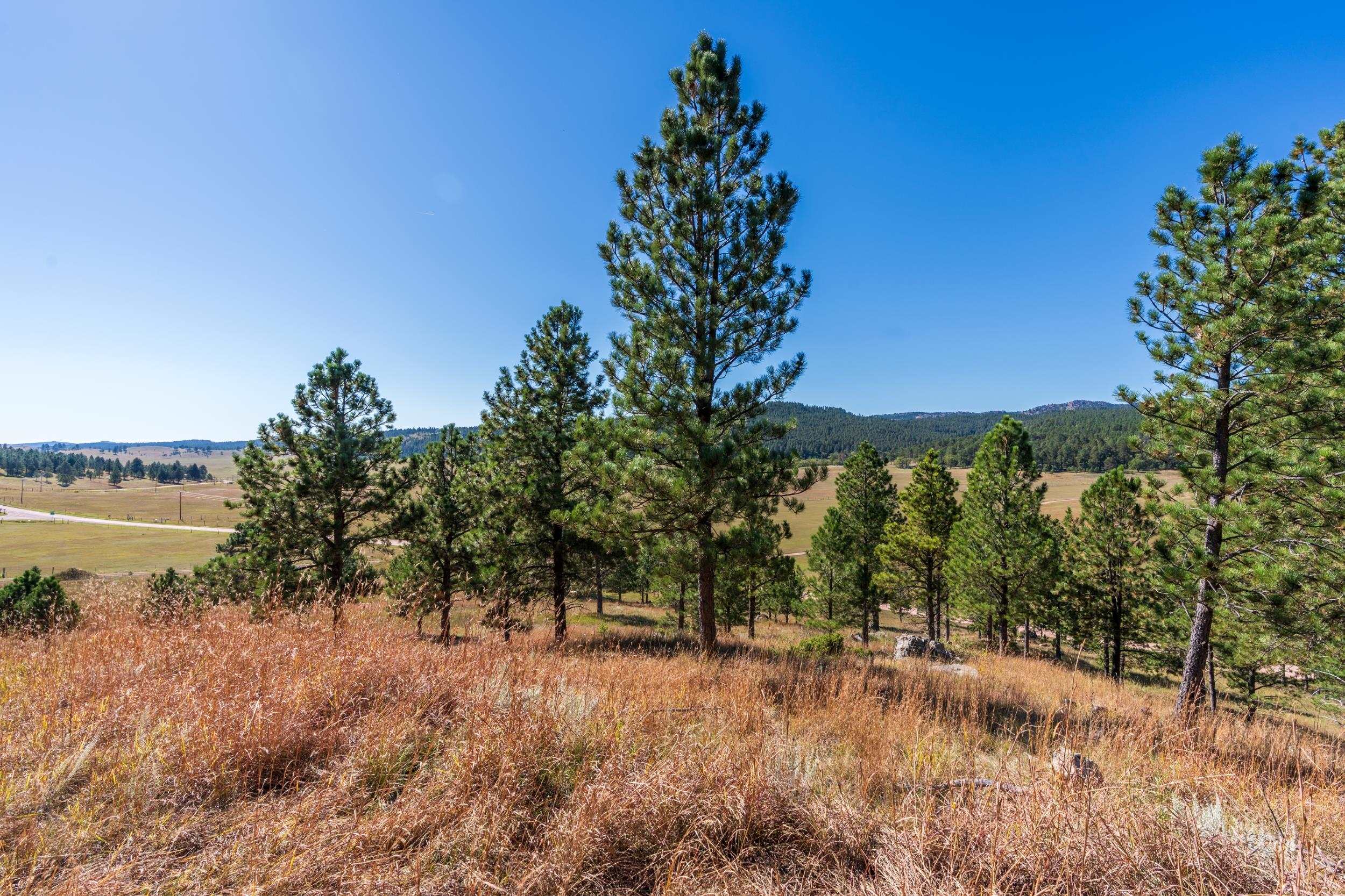 13604 Ghost Canyon Road Property Photo 33