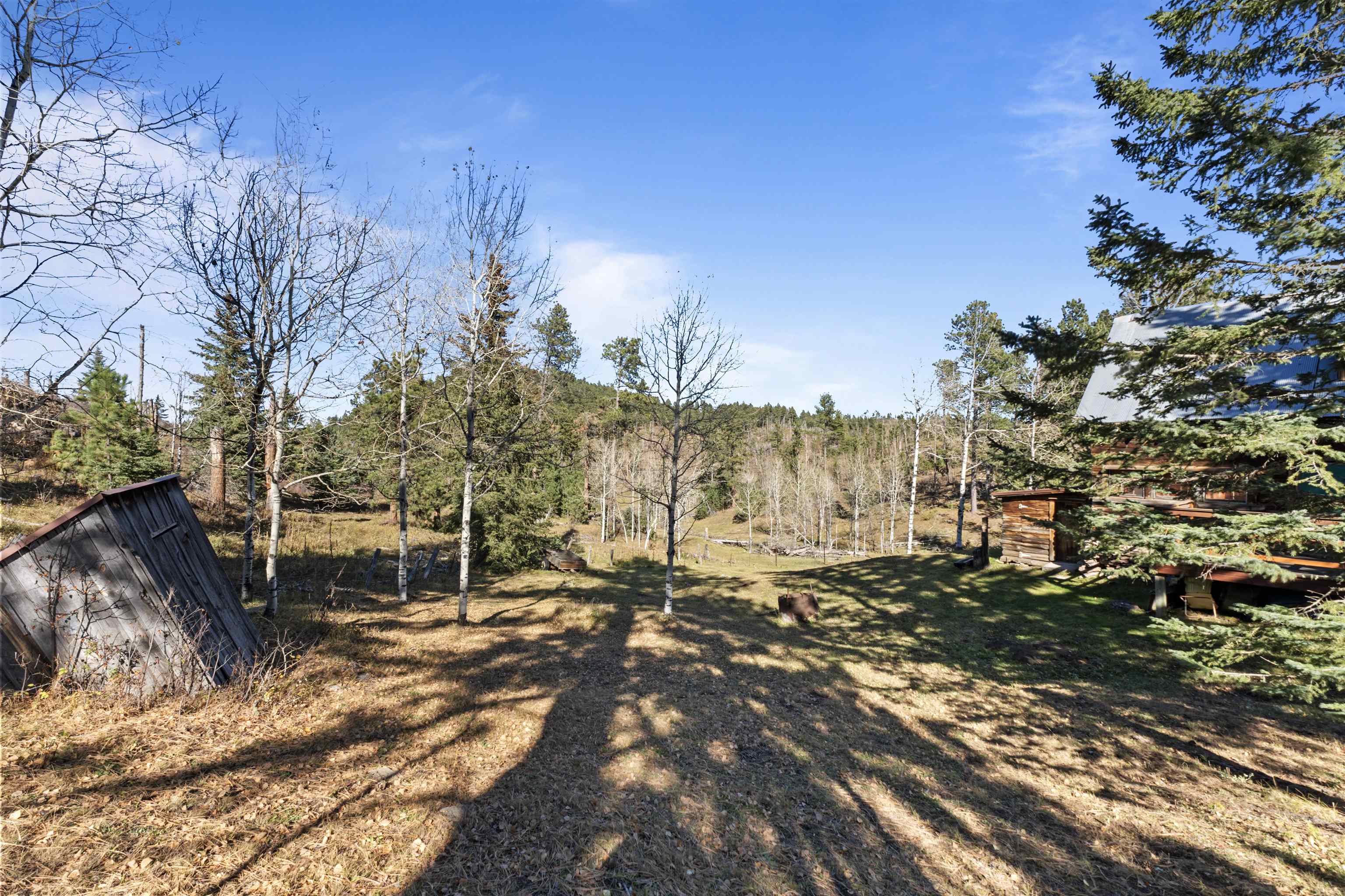 10166 Lap Circle Rd. Property Photo 8