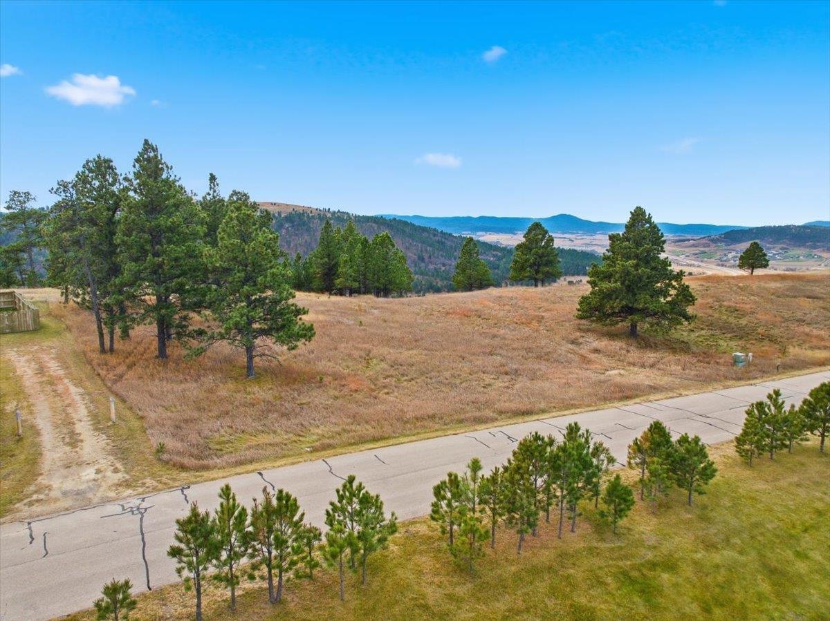 Lot 53 Frawley Ranch Property Photo 2