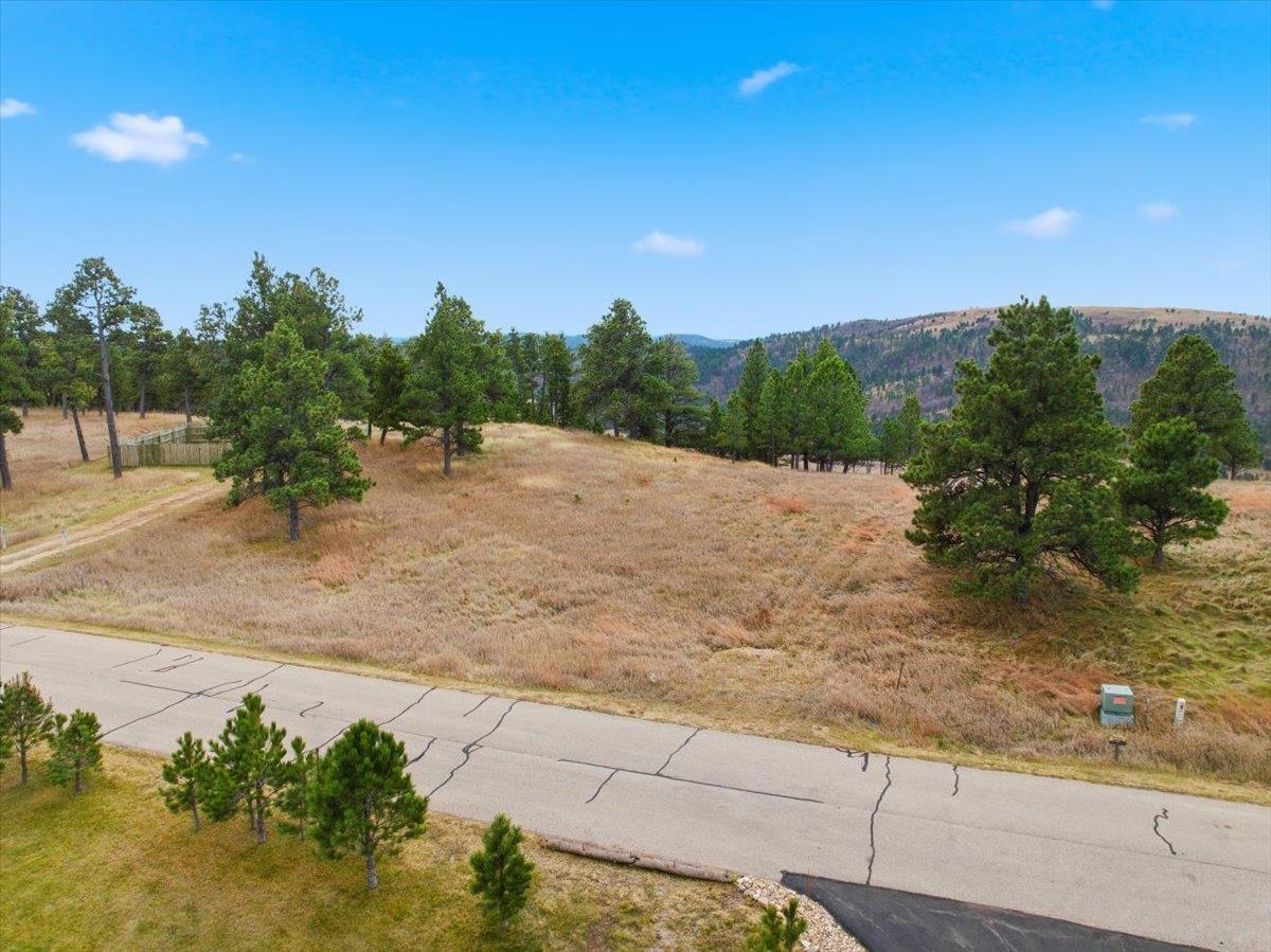 Lot 53 Frawley Ranch Property Photo 3