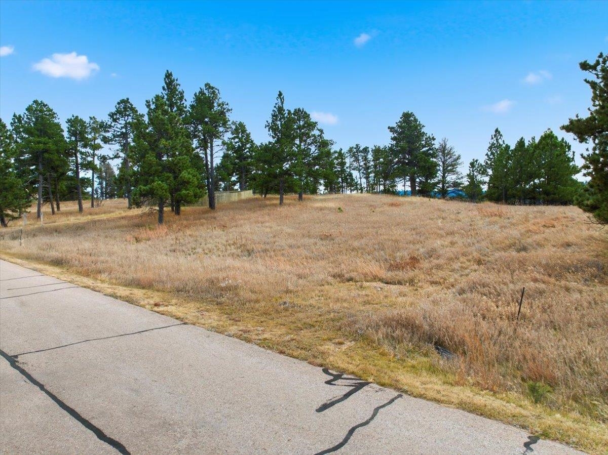 Lot 53 Frawley Ranch Property Photo 4