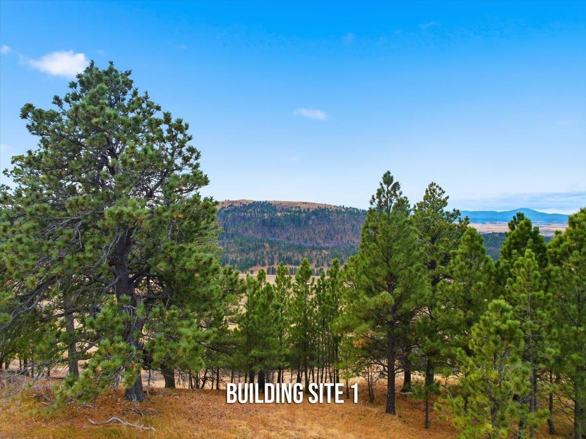 Lot 53 Frawley Ranch Property Photo 6