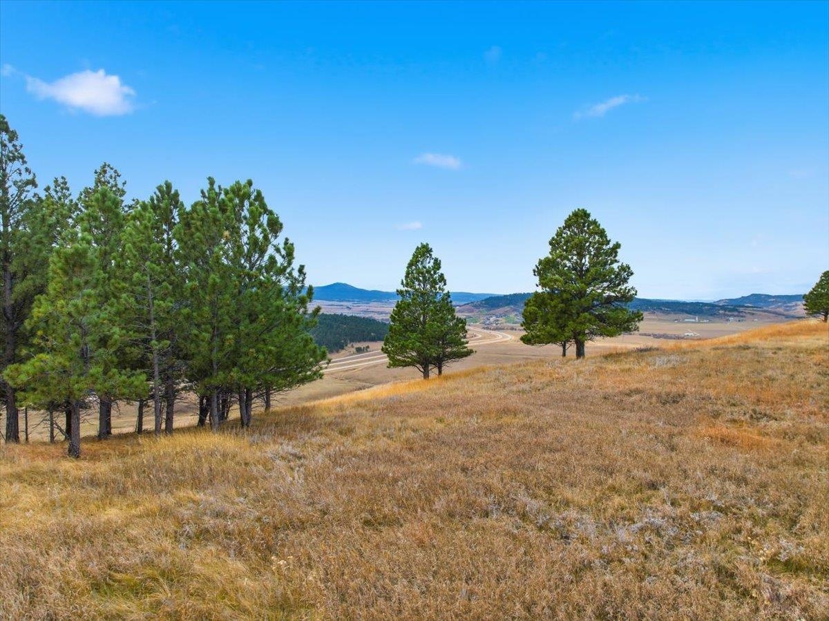 Lot 53 Frawley Ranch Property Photo 16