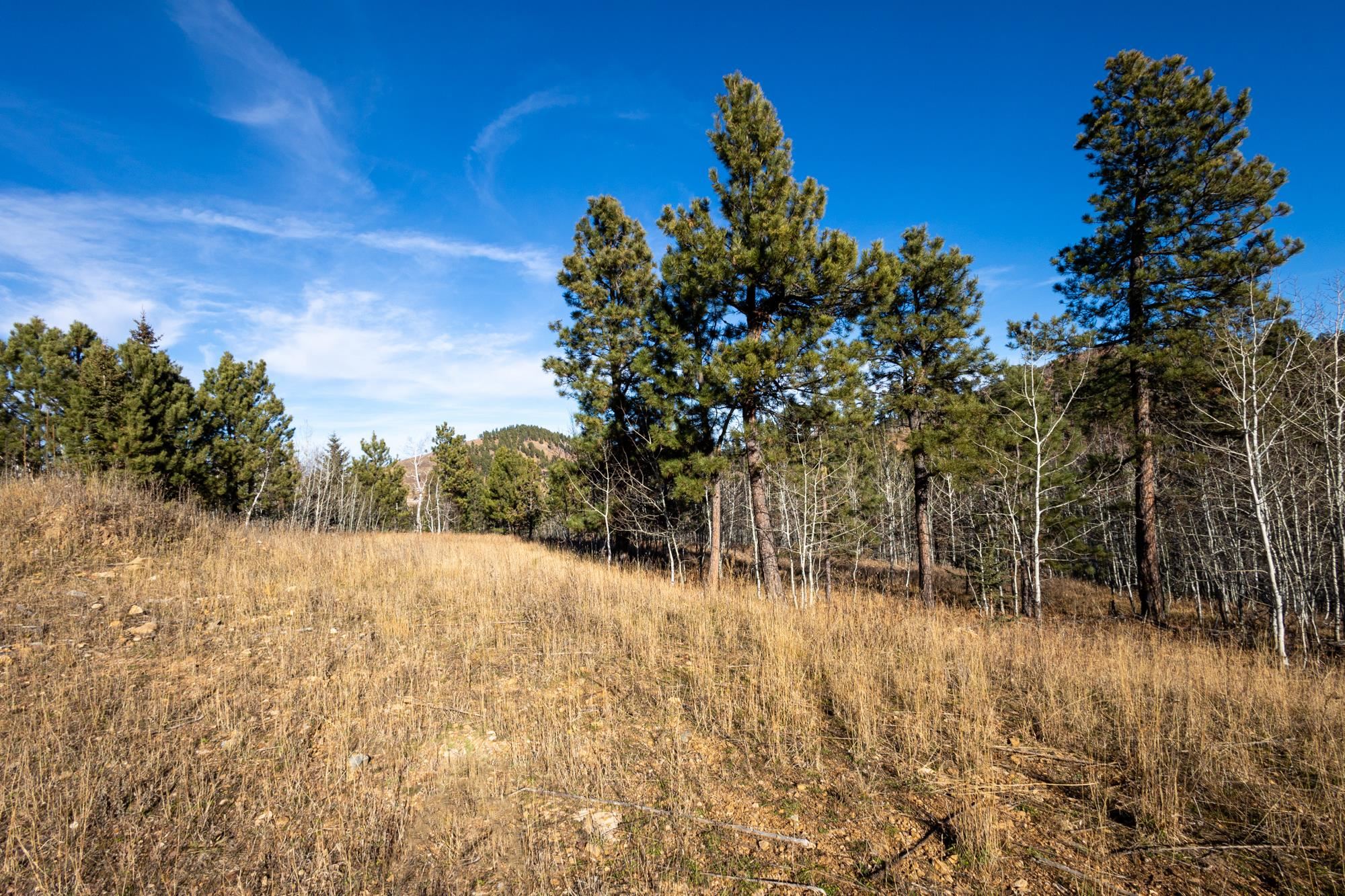 Lot 42 Noble Grand Court Property Photo 20