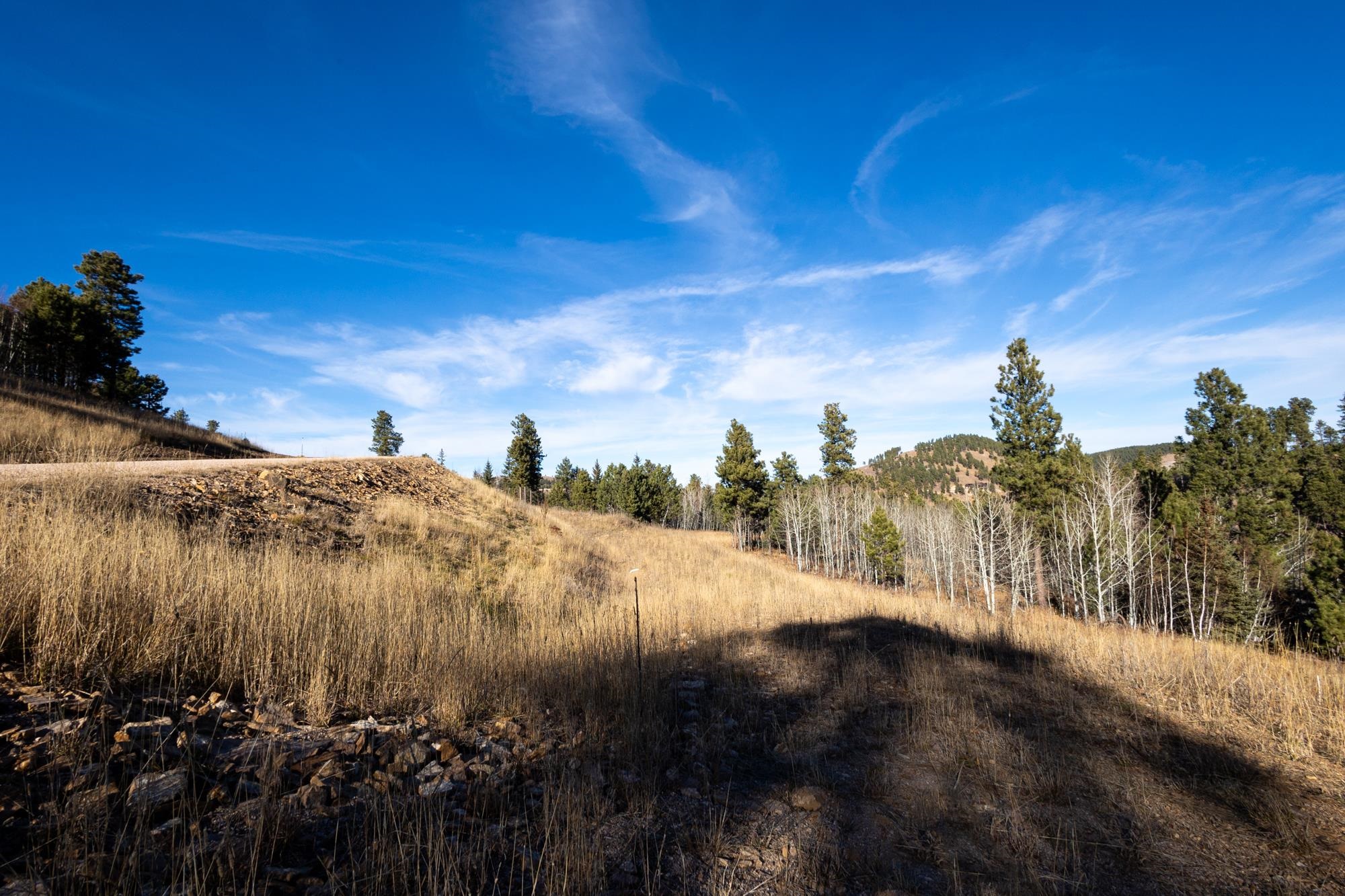 Lot 42 Noble Grand Court Property Photo 21