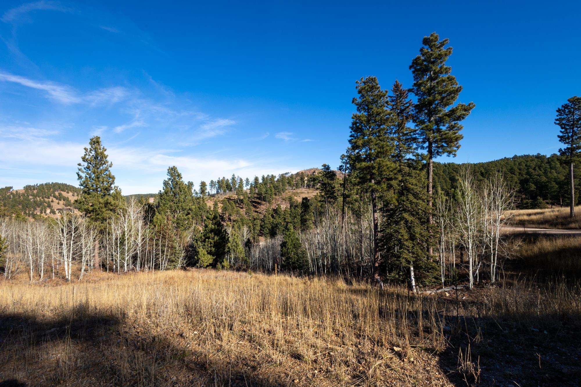 Lot 42 Noble Grand Court Property Photo 22