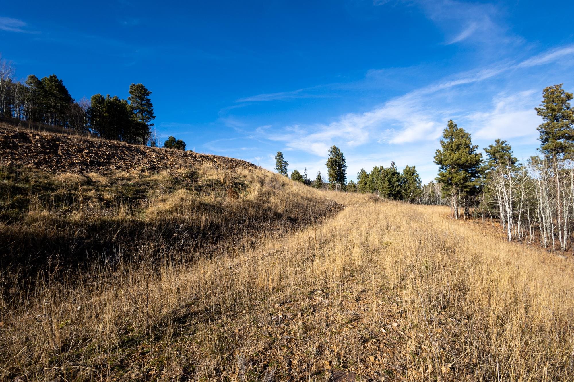 Lot 42 Noble Grand Court Property Photo 23