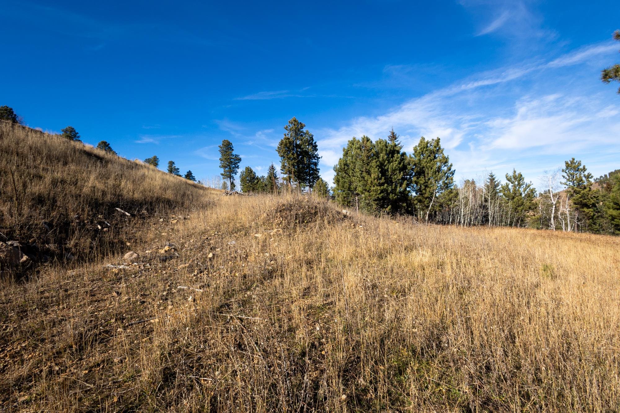 Lot 42 Noble Grand Court Property Photo 24