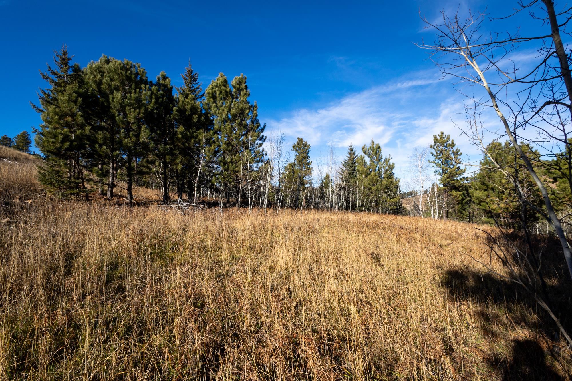 Lot 42 Noble Grand Court Property Photo 25