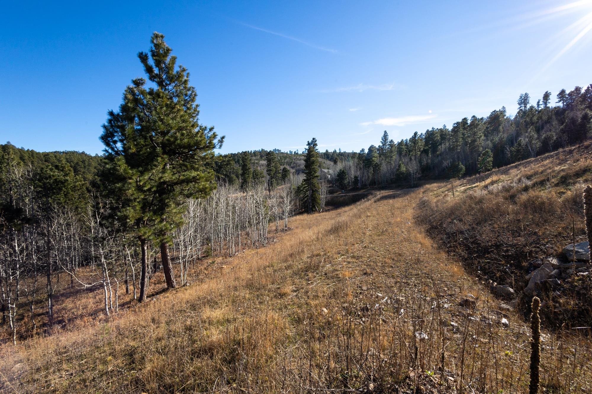 Lot 42 Noble Grand Court Property Photo 26