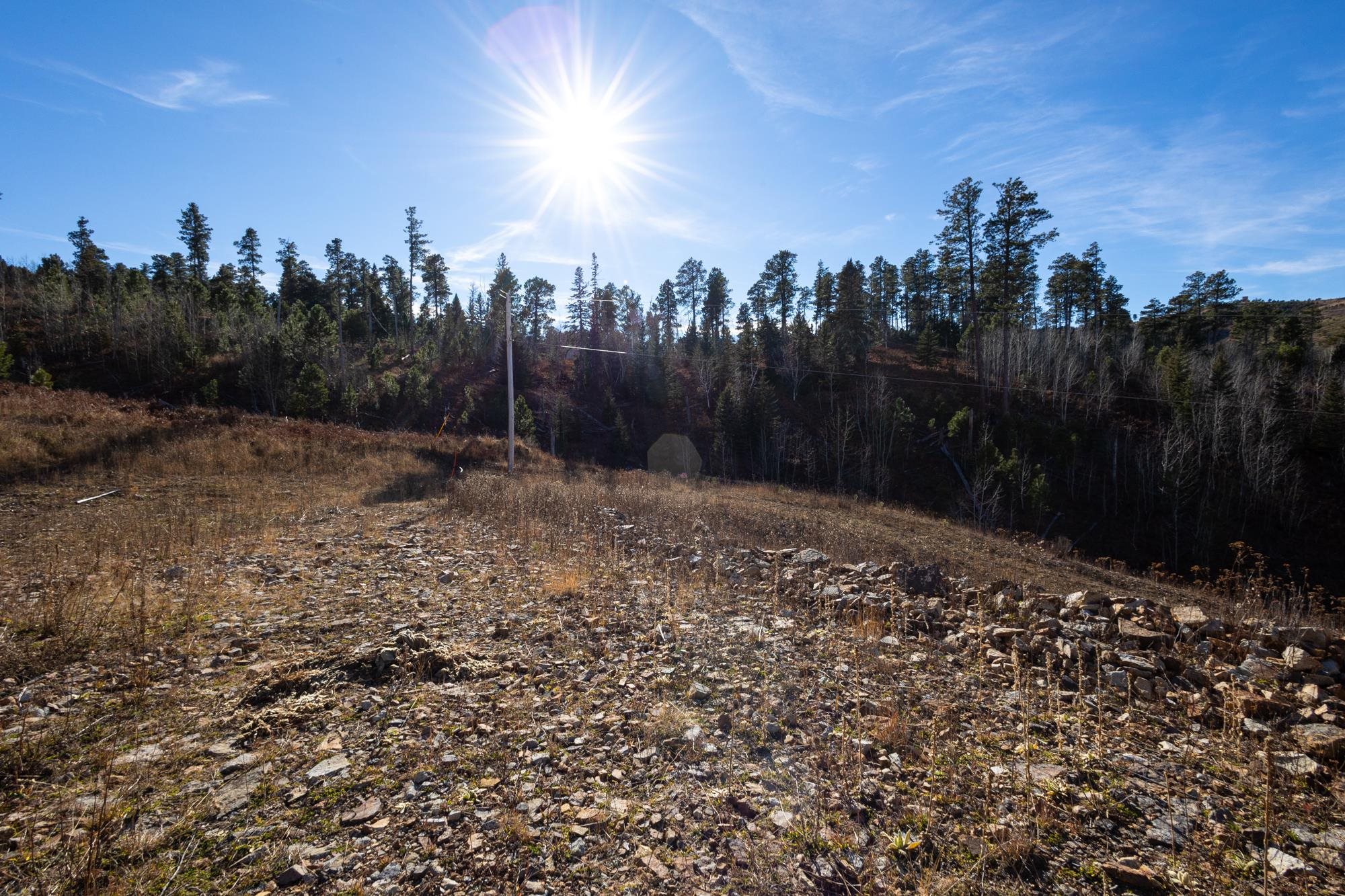Lot 42 Noble Grand Court Property Photo 29
