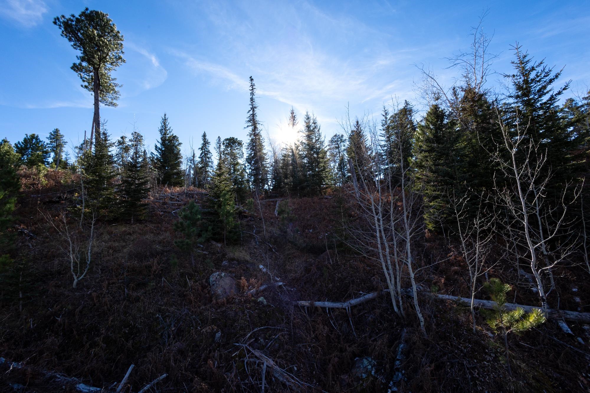Lot 42 Noble Grand Court Property Photo 32
