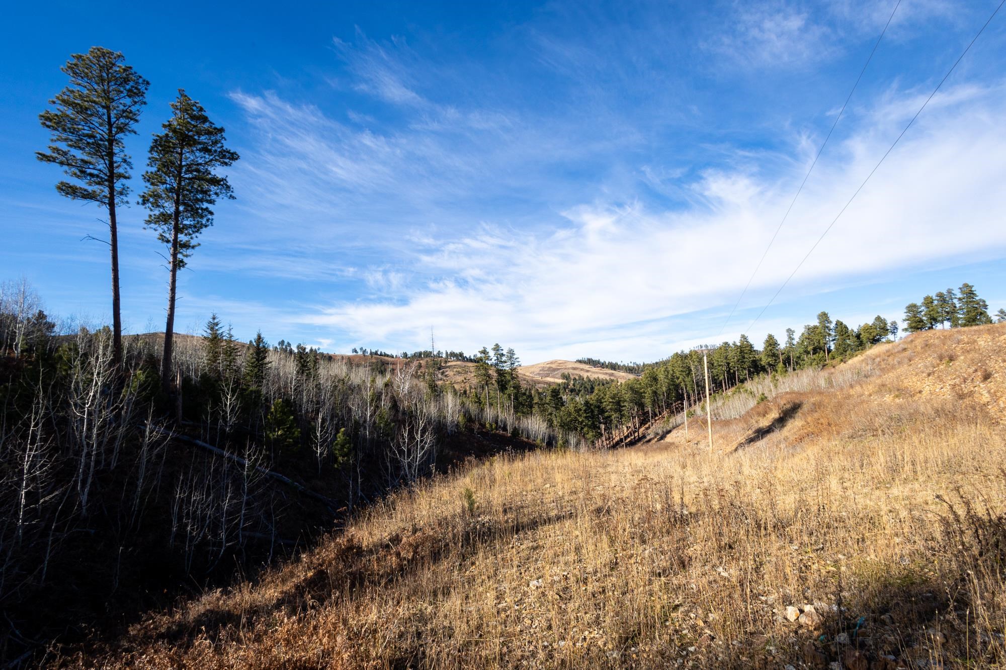 Lot 42 Noble Grand Court Property Photo 33