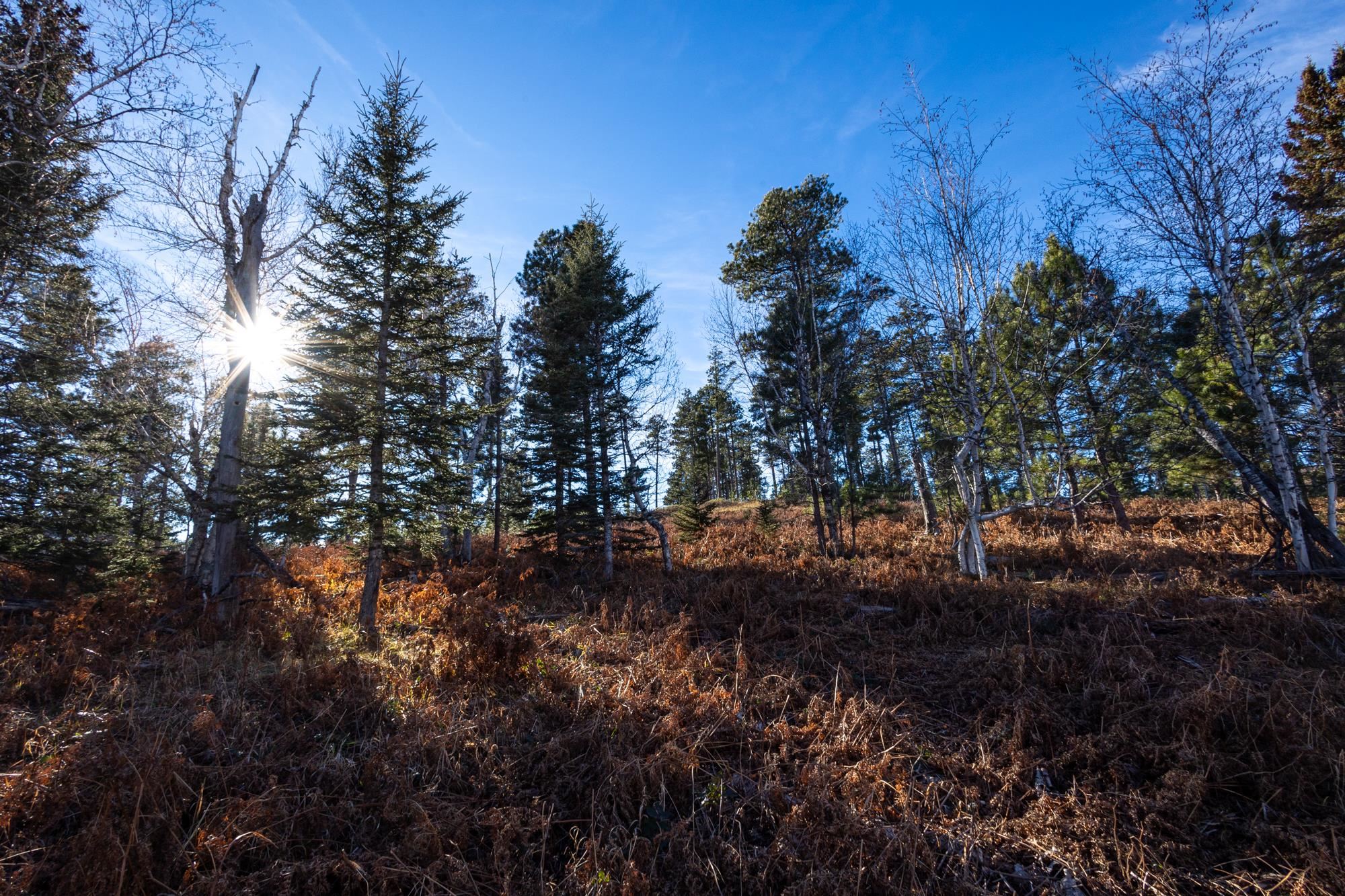 Lot 42 Noble Grand Court Property Photo 35