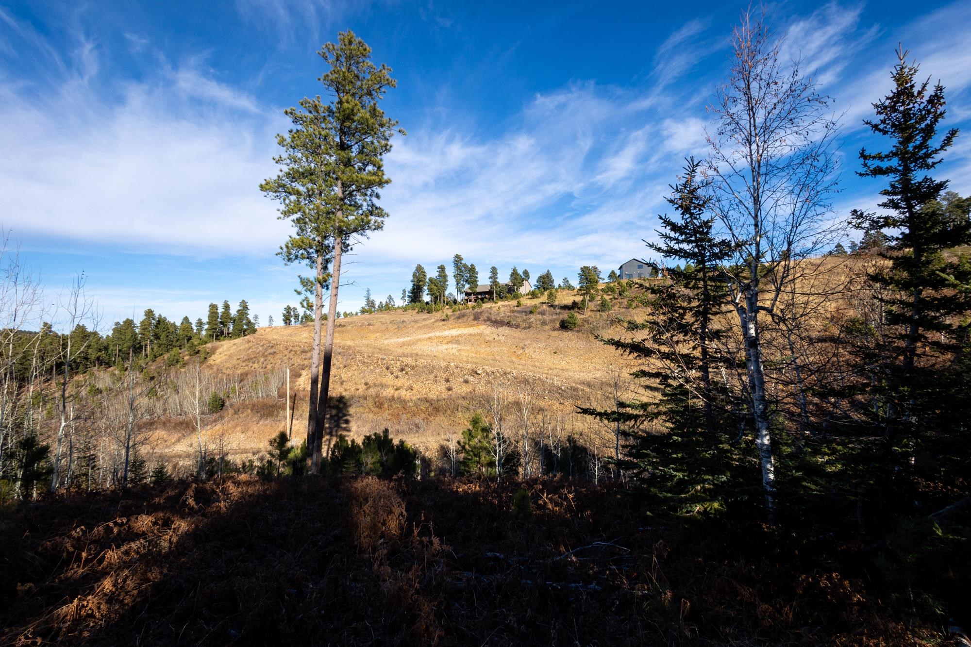 Lot 42 Noble Grand Court Property Photo 36