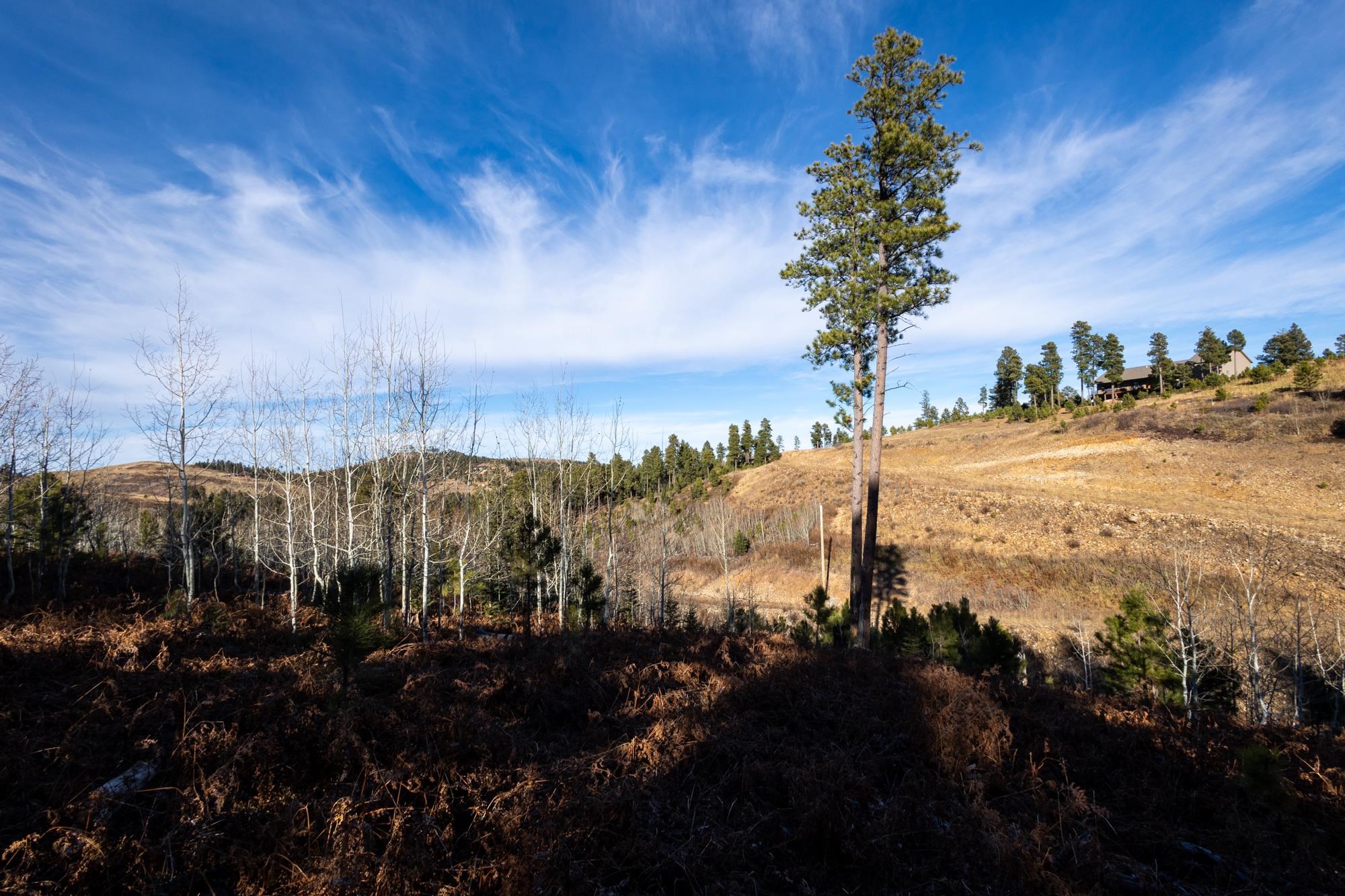 Lot 42 Noble Grand Court Property Photo 37