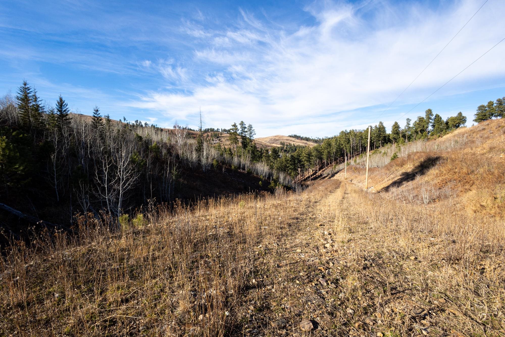 Lot 42 Noble Grand Court Property Photo 39