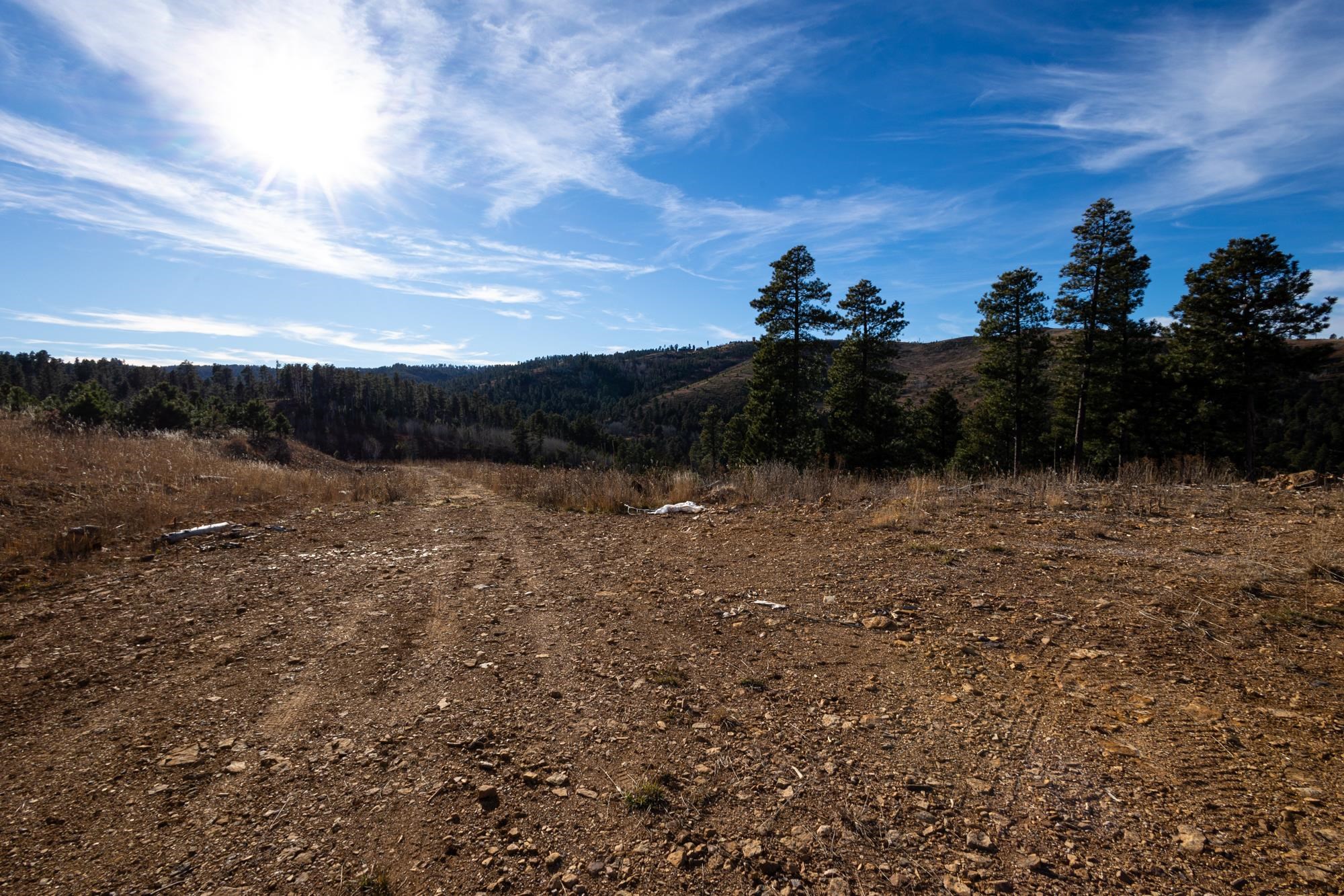 Lot 42 Noble Grand Court Property Photo 40