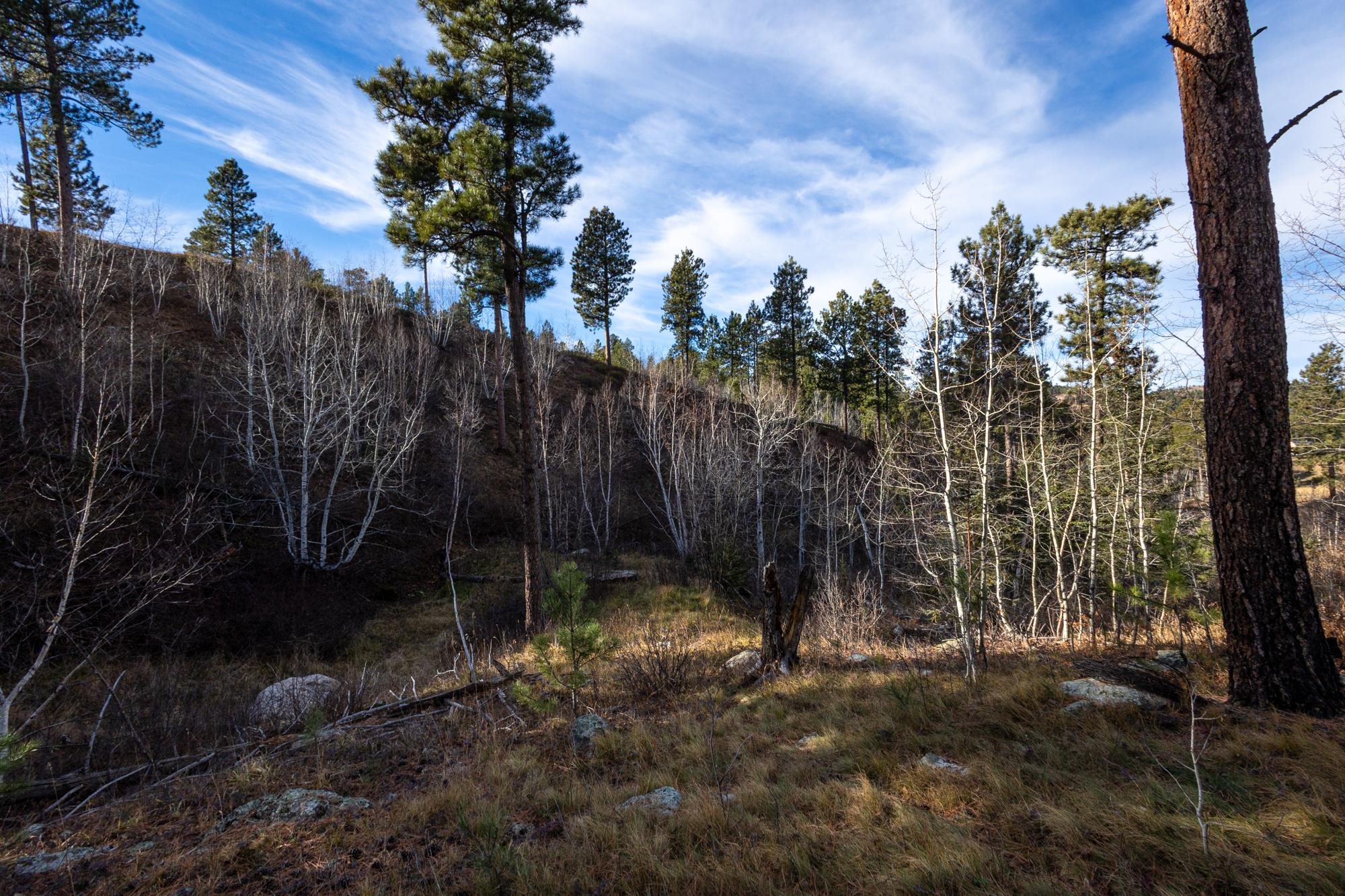 Lot 42 Noble Grand Court Property Photo 43