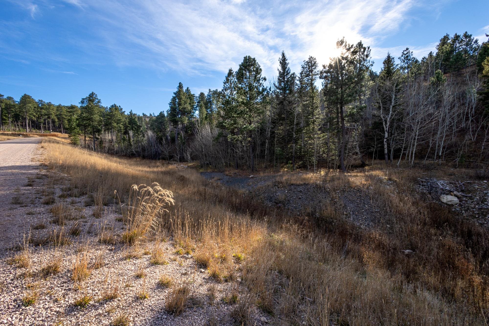 Lot 42 Noble Grand Court Property Photo 45