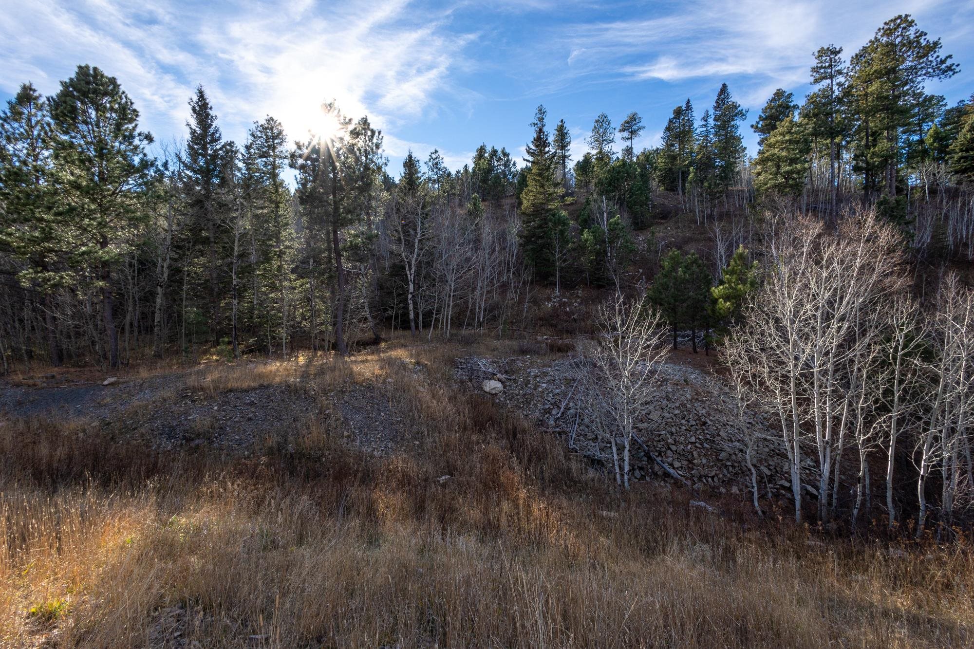 Lot 42 Noble Grand Court Property Photo 46