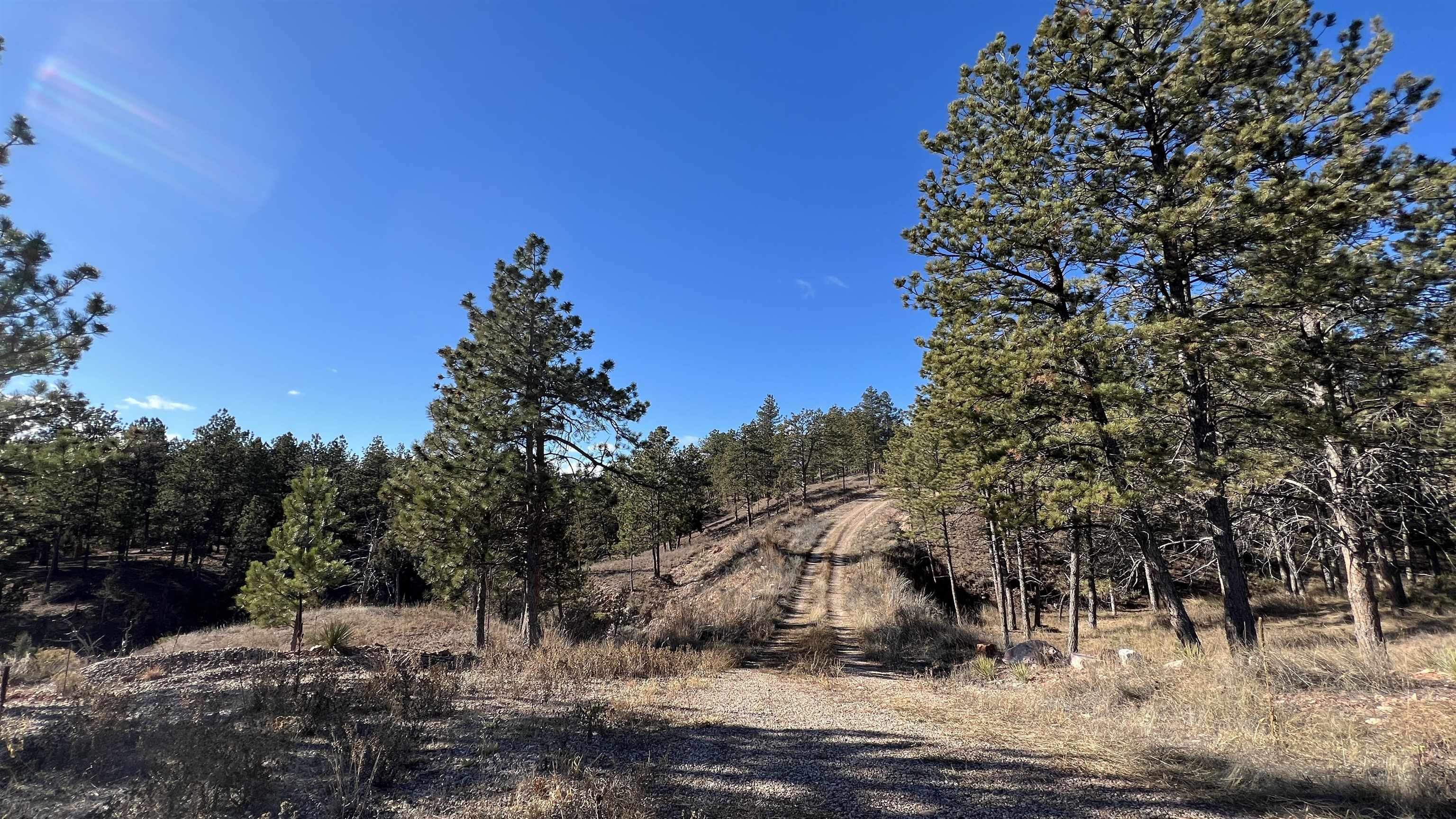 12725 Ridgeview Drive Property Photo 3