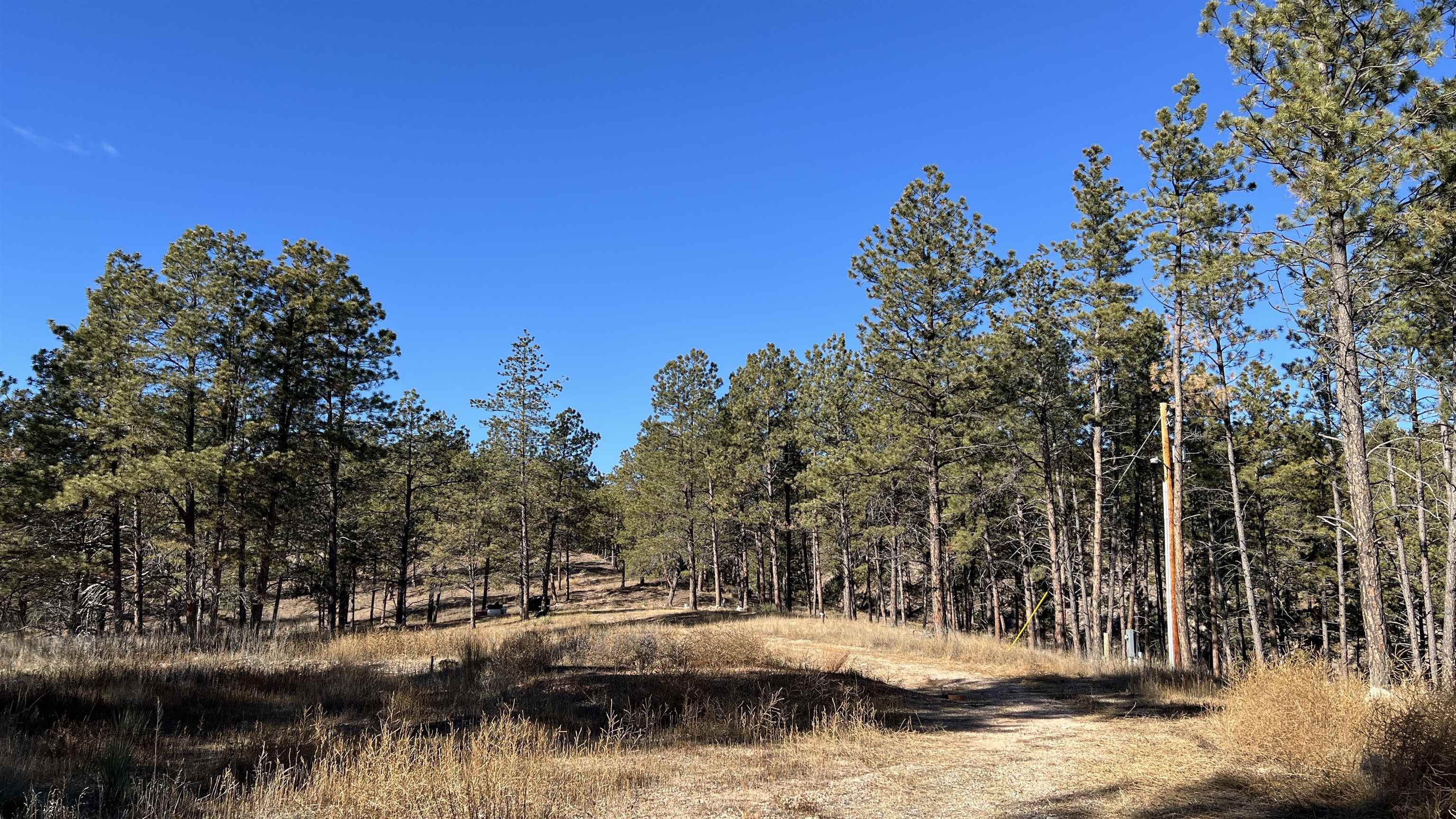 12725 Ridgeview Drive Property Photo 6