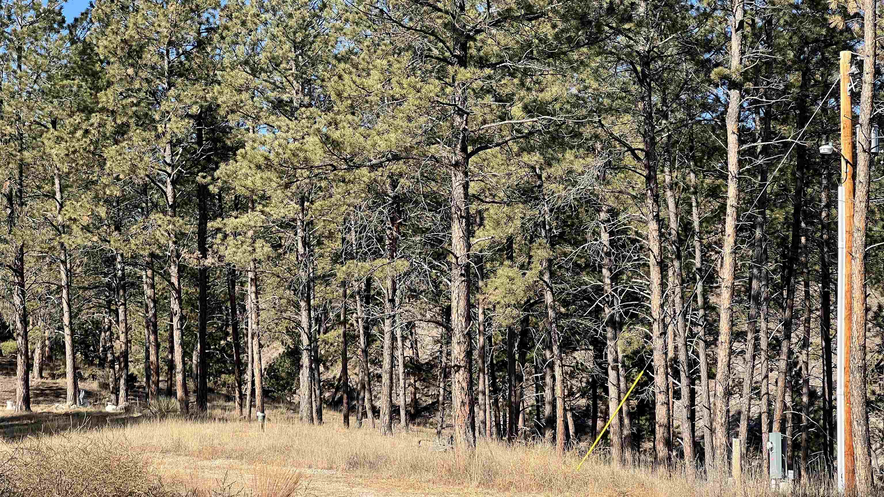 12725 Ridgeview Drive Property Photo 7
