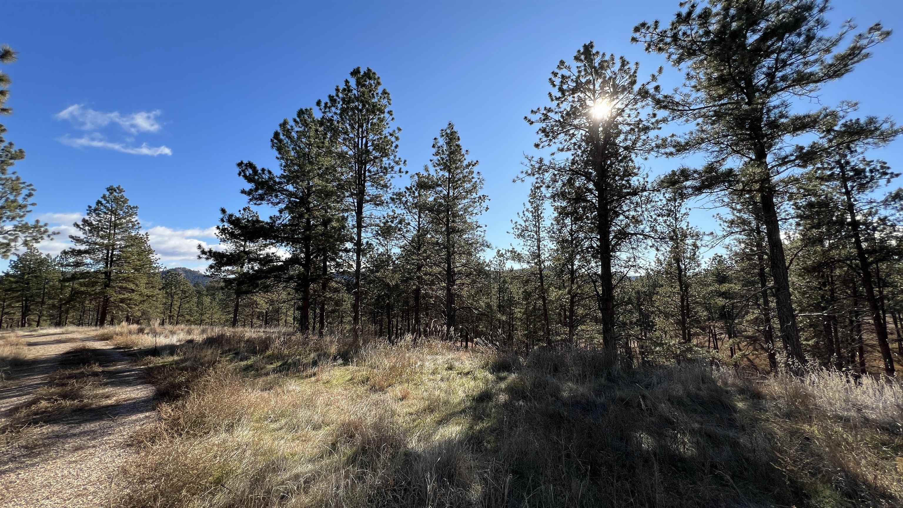 12725 Ridgeview Drive Property Photo 8