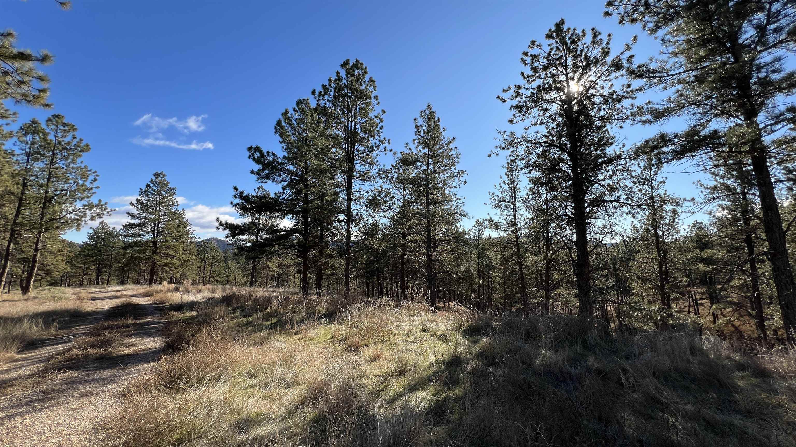12725 Ridgeview Drive Property Photo 9