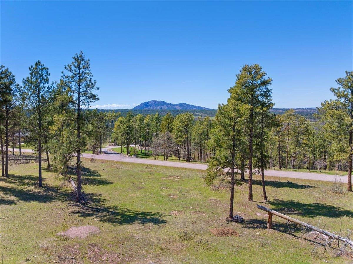 Tbd Lot 140 Lone Elk Road Property Photo 1