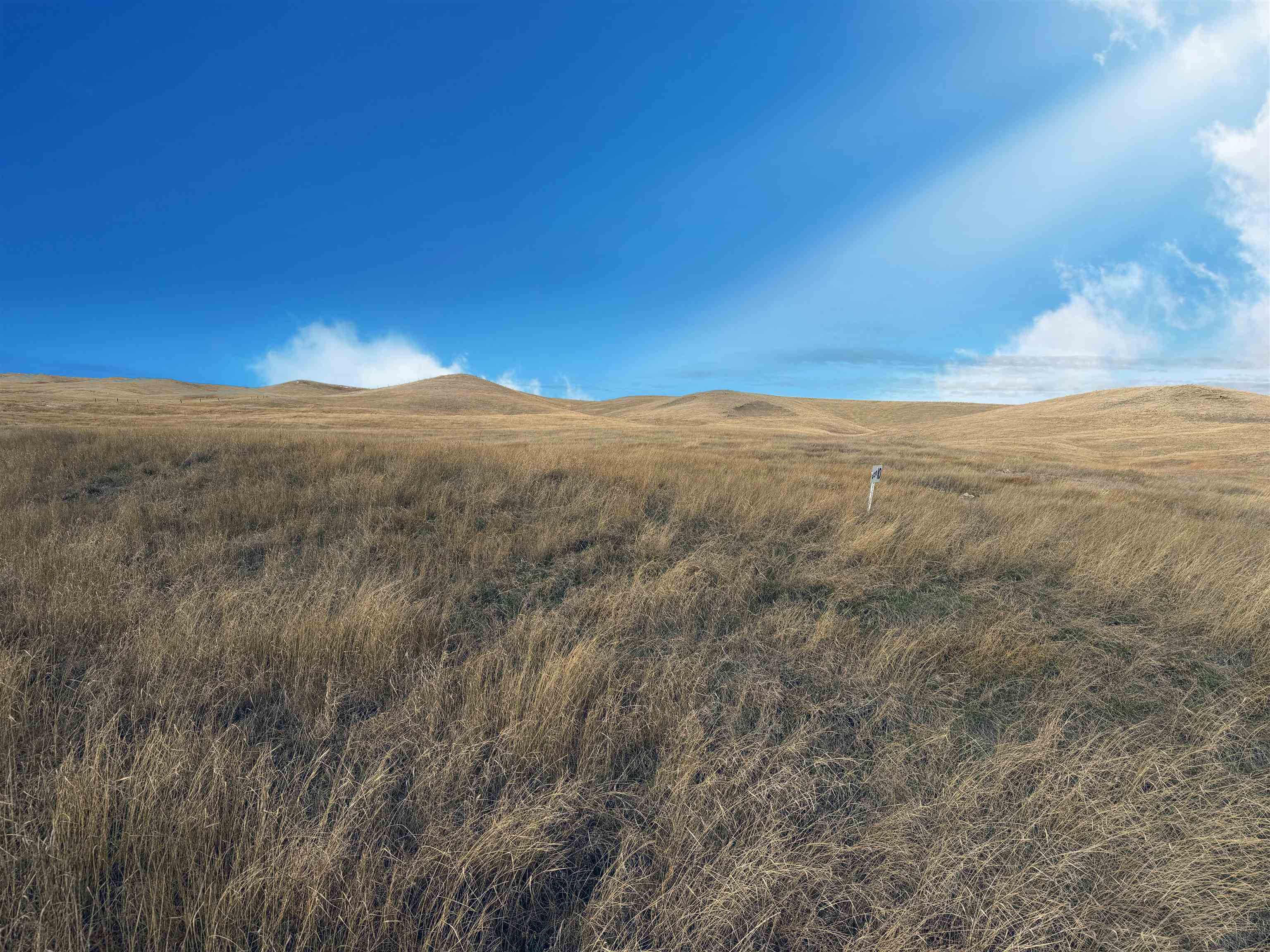 Lot #12 Belle View Acres Property Photo 3